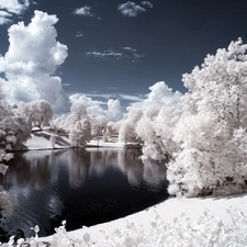 viewes, Snowy, Park, clouds, Pond - car, trees