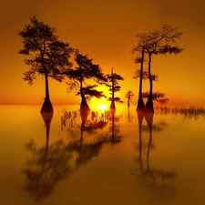 lake, west, viewes, reflection, trees, sun