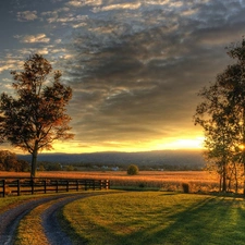viewes, Great Sunsets, fence, trees, Way