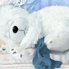 teddy bear, sleepy, White
