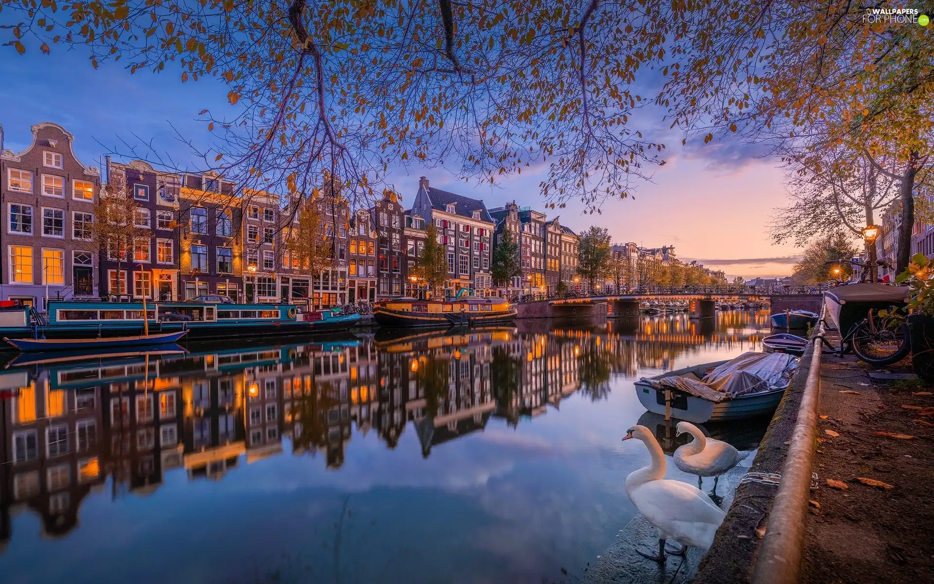Amsterdam, Netherlands, Houses, canal, Swan, Boats, trees, viewes, autumn