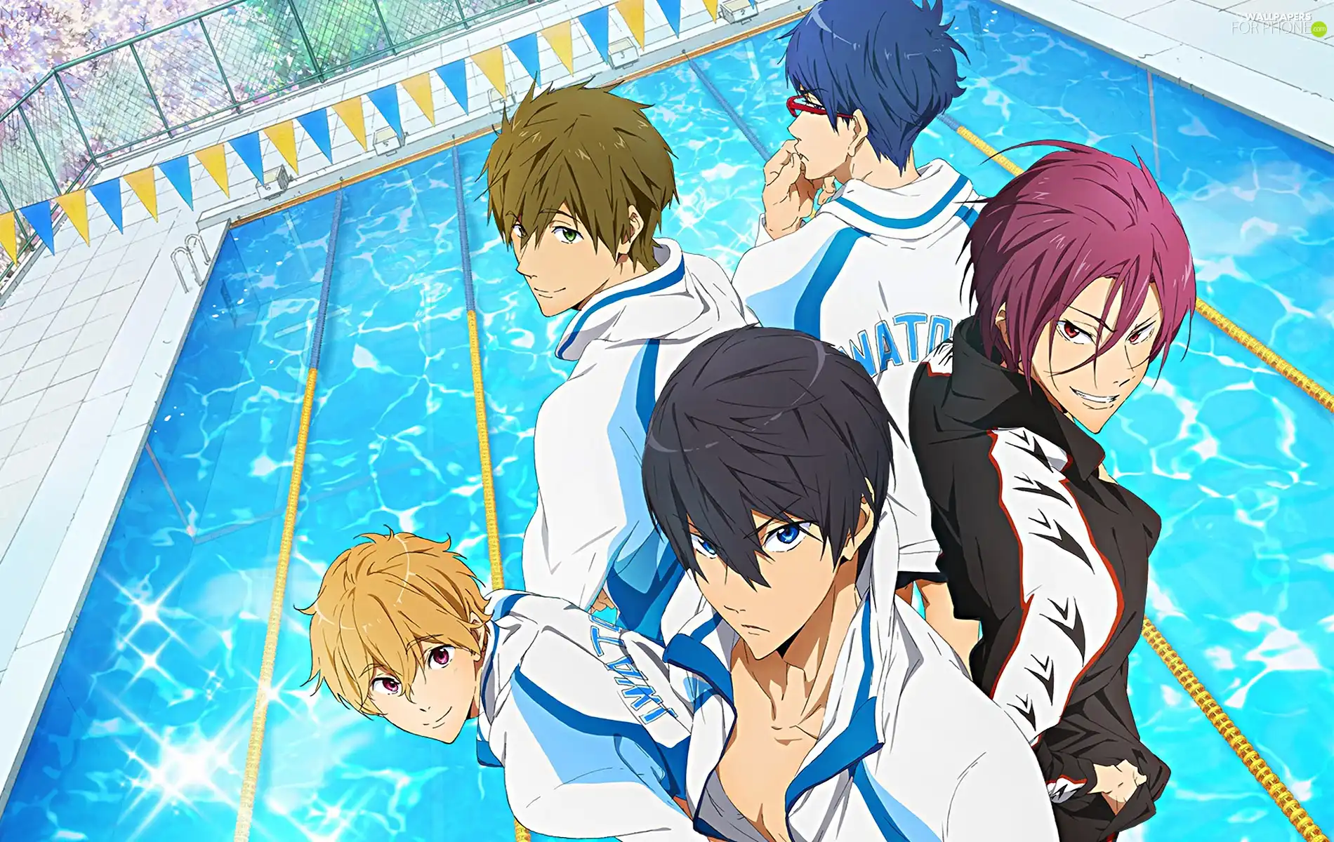 Pool, boys, Iwatobi Swim Club, Anime, Free!