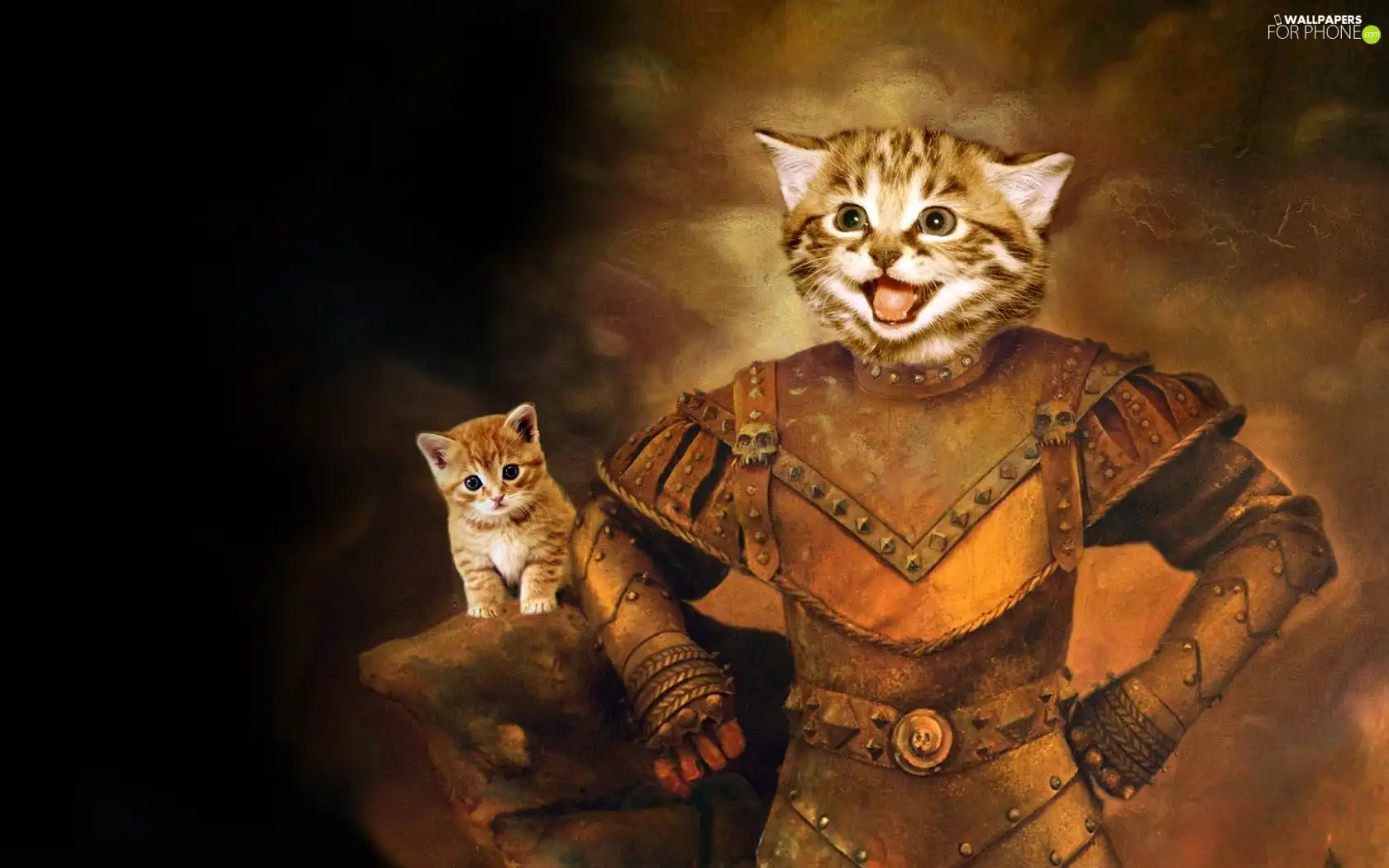 cat, Armor