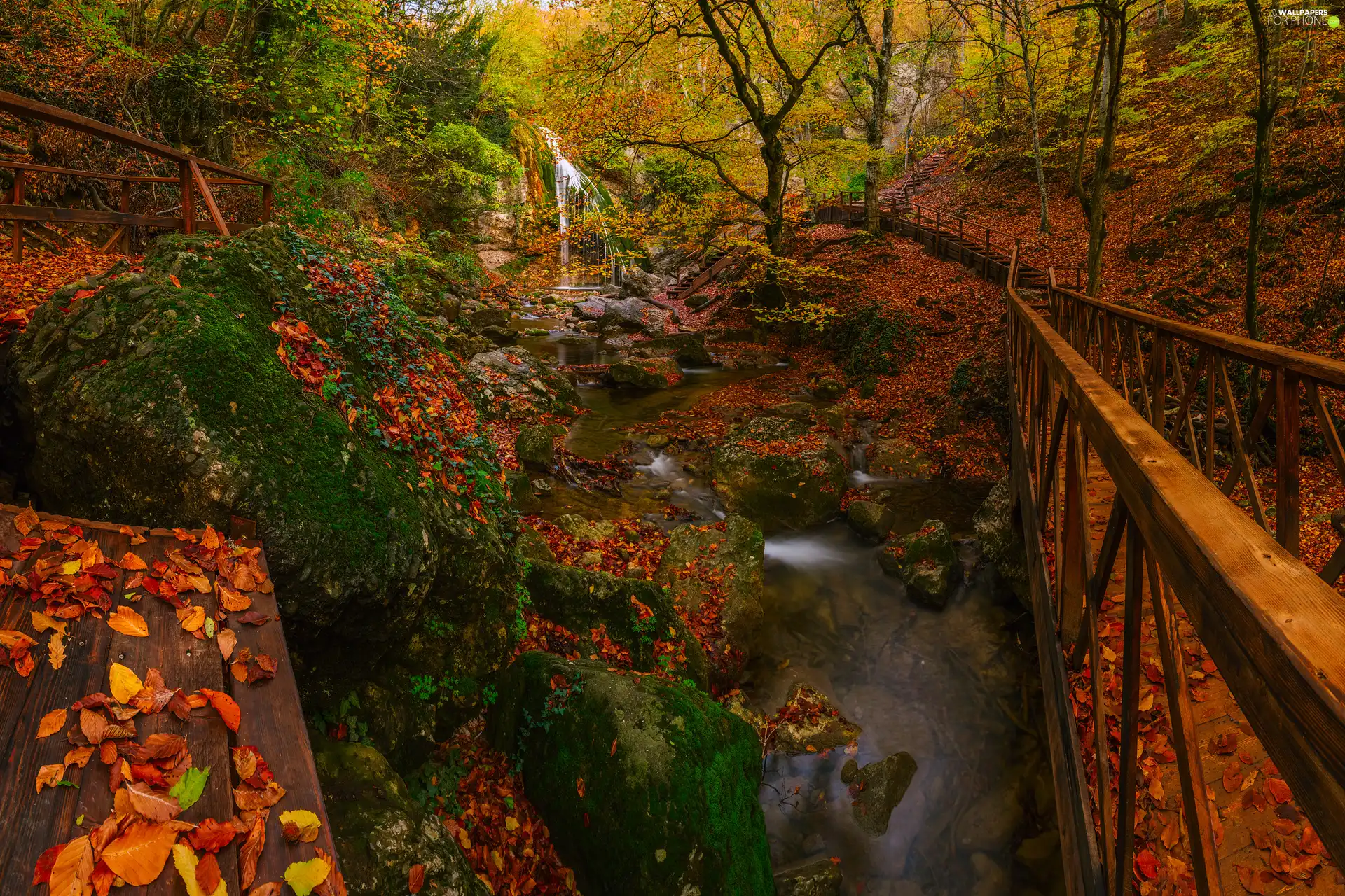 autumn, River, Stairs, mossy, trees, waterfall, bridges, Stones, Leaf, viewes