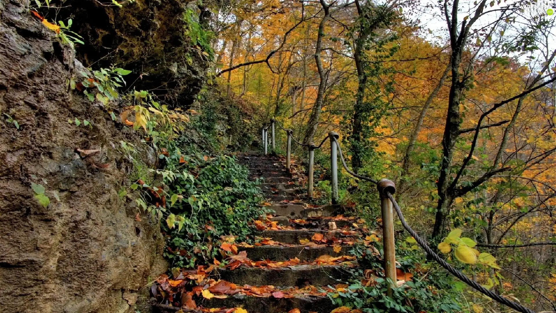 autumn, Stairs, color, Colours, Park