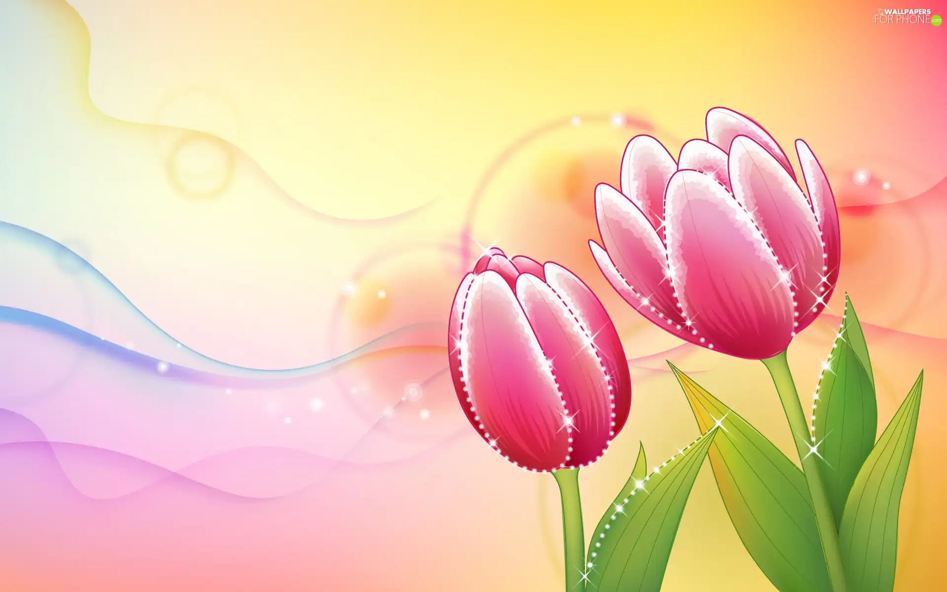Pink, color, background, Tulips