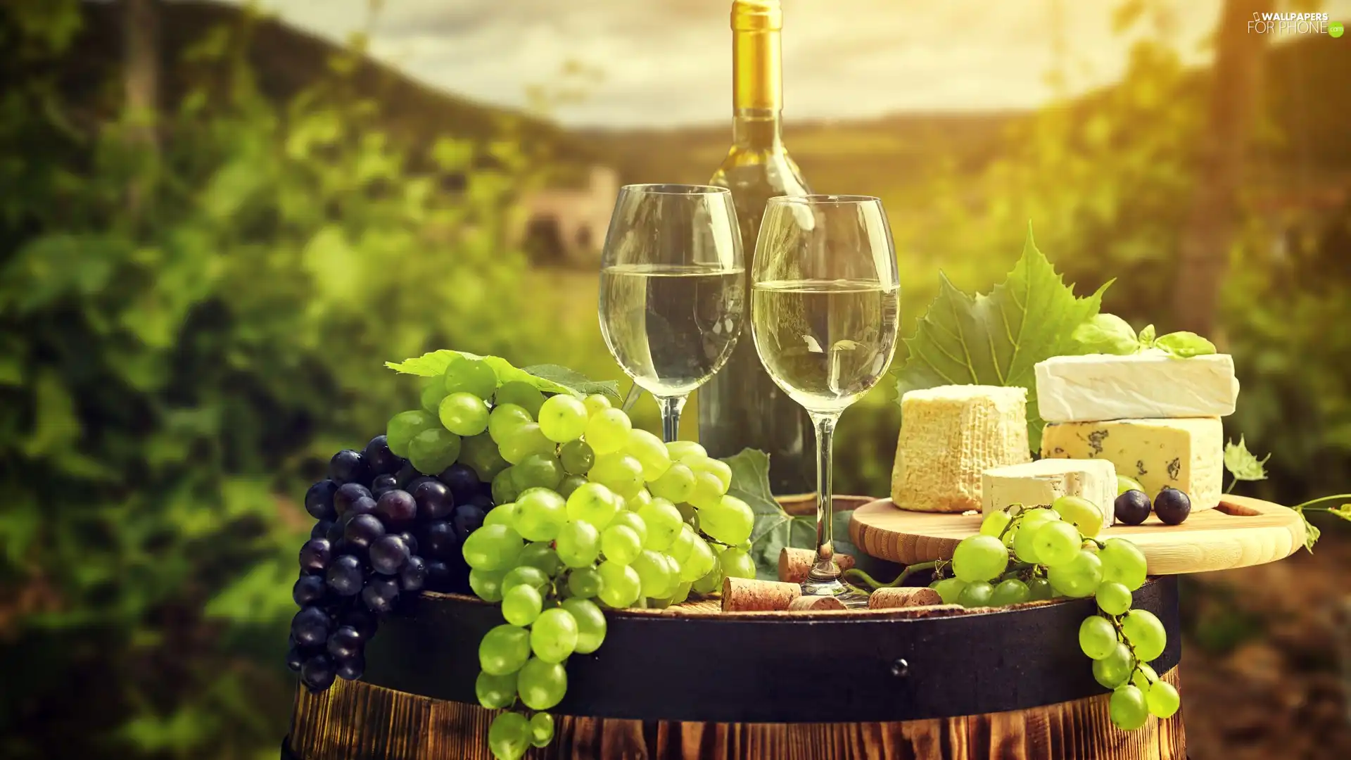 Bottle, Two cars, Cheese, glasses, Wine, Grapes, barrel