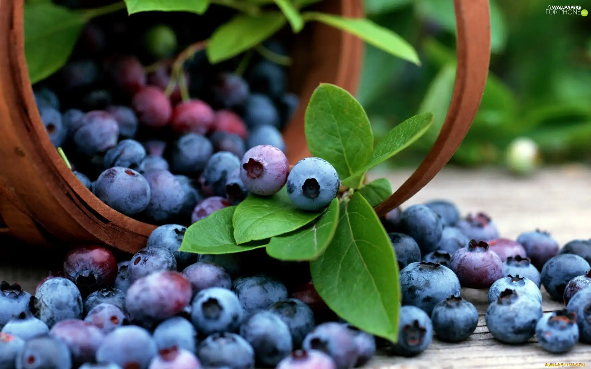 blueberries, basket