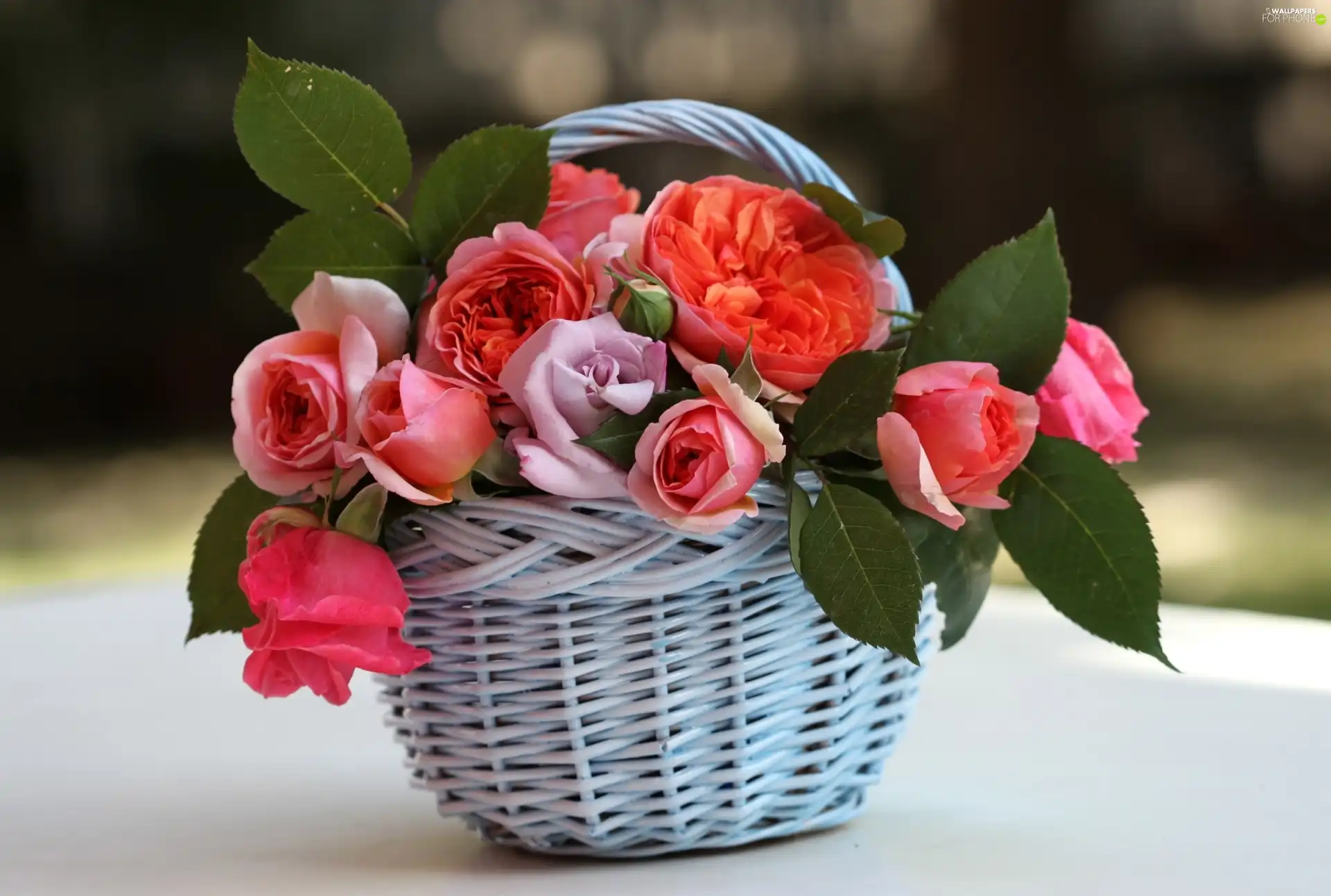 roses, basket