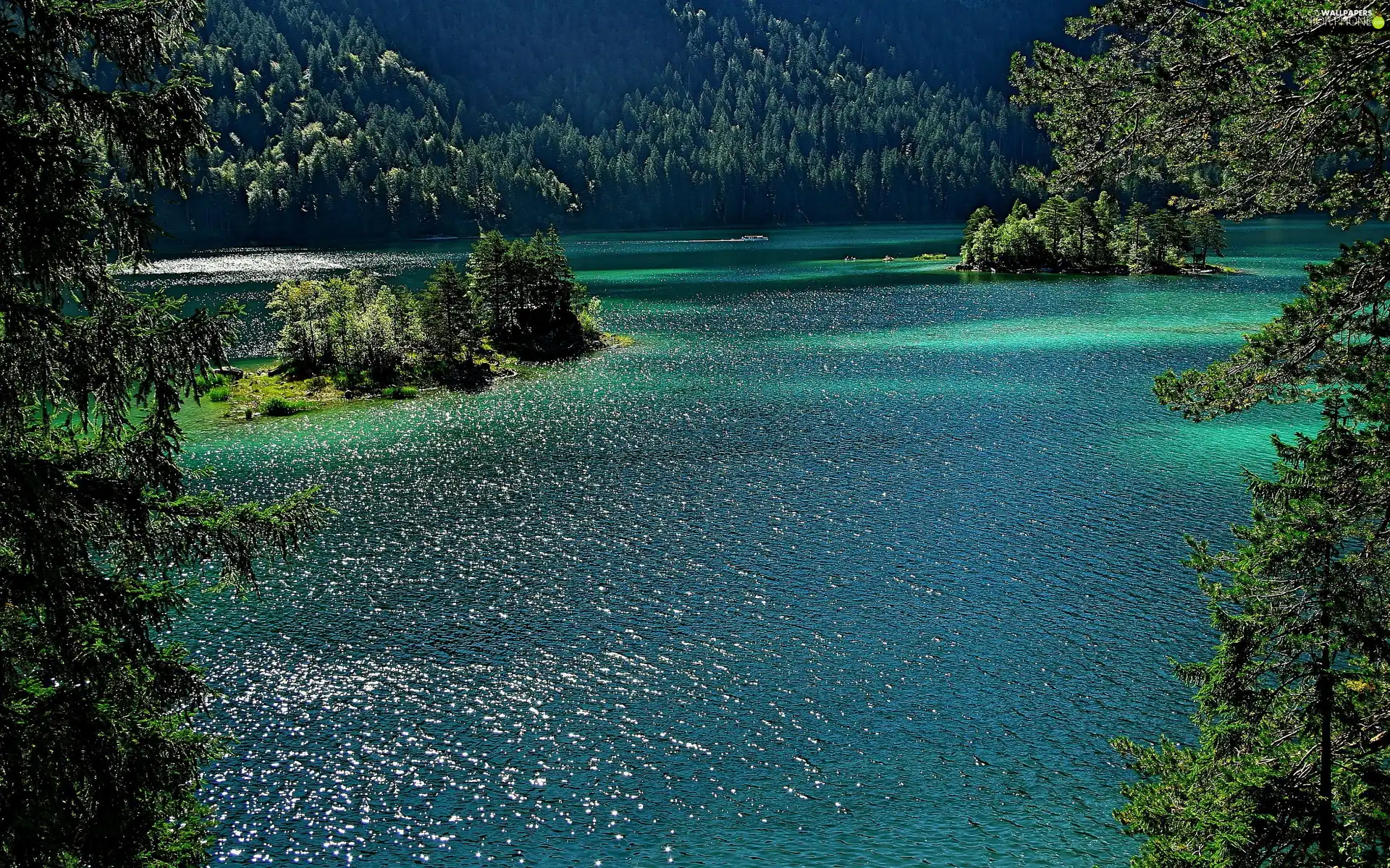 lake, Grainau, Bavaria, woods