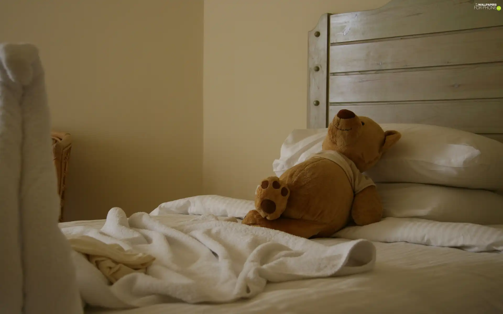 teddy bear, resting, White Bed, plush toy