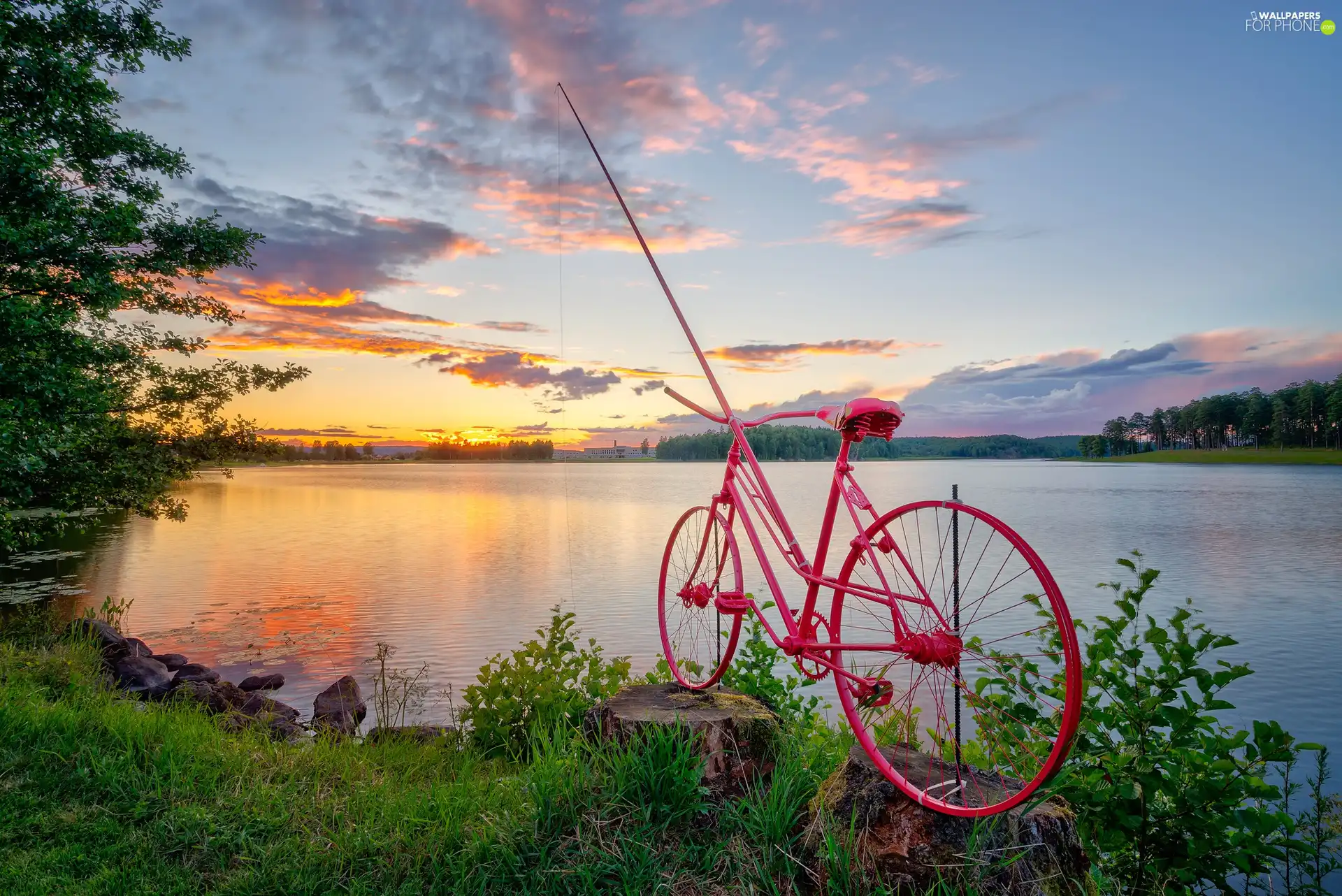 fishing rod, lake, Bike