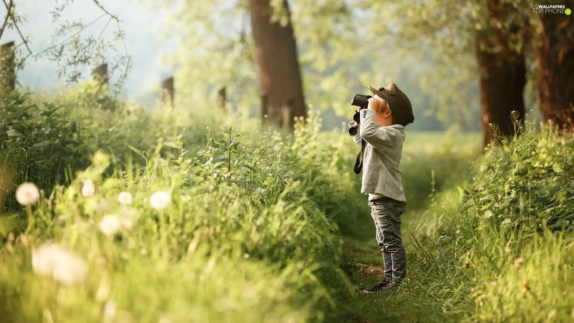 Kid, Path, Plants, binoculars