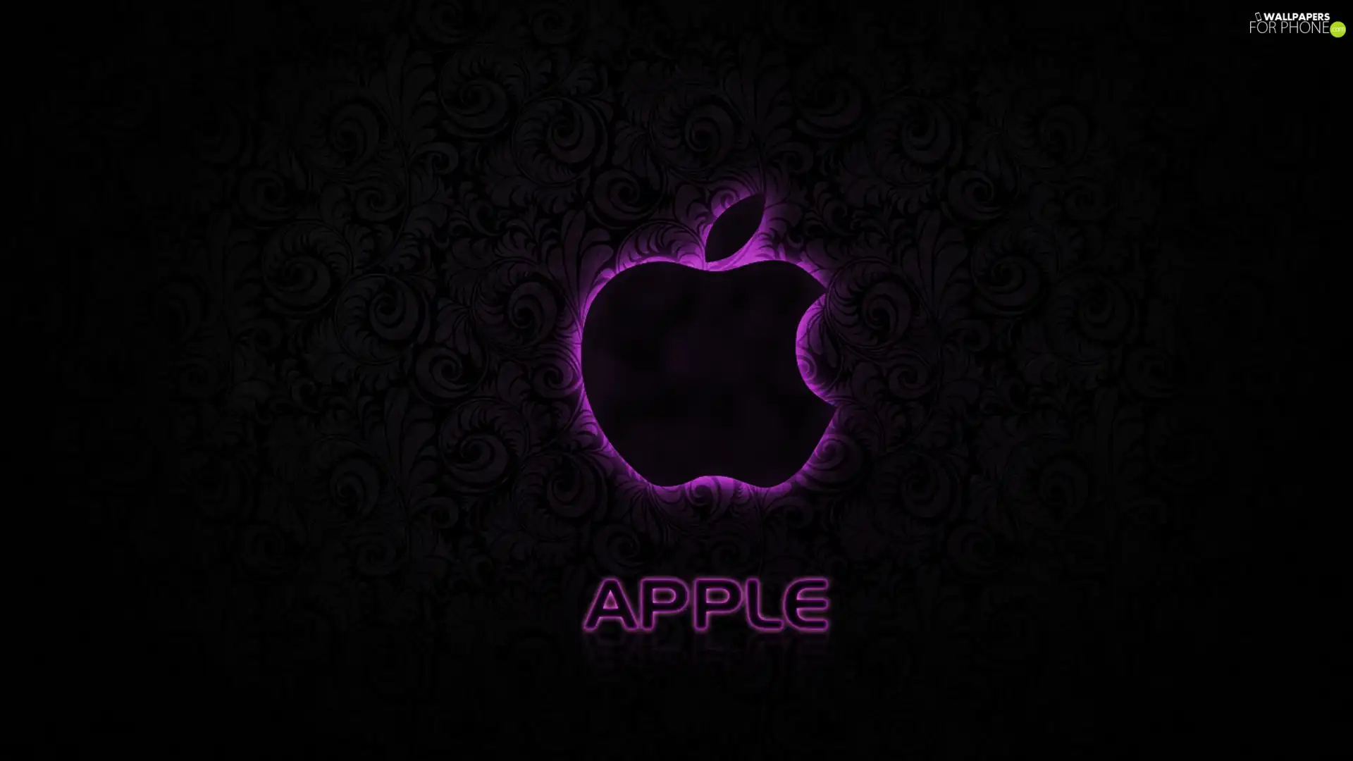 Black, background, outline, Apple, Violet