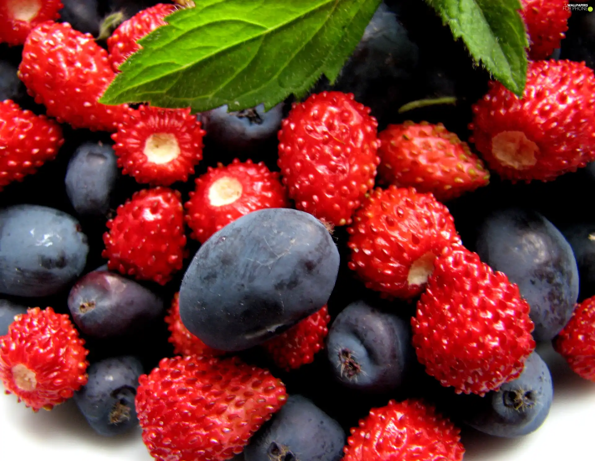 Fruits, mint, blueberries, Strawberries
