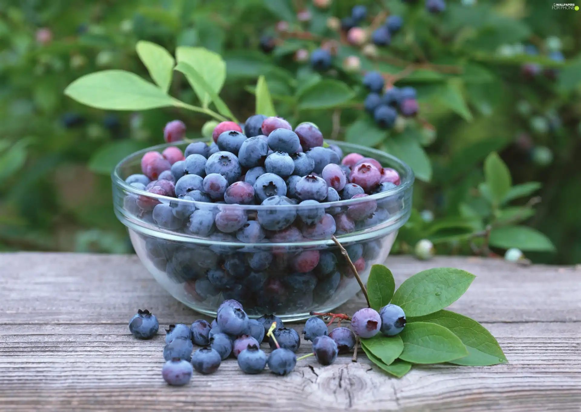 board, leaves, Black, blueberries, bowl