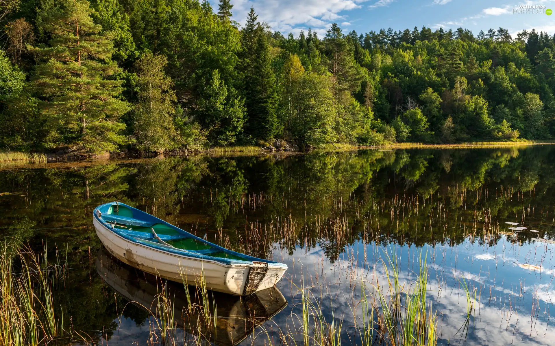 viewes, forest, reflection, Boat, lake, trees