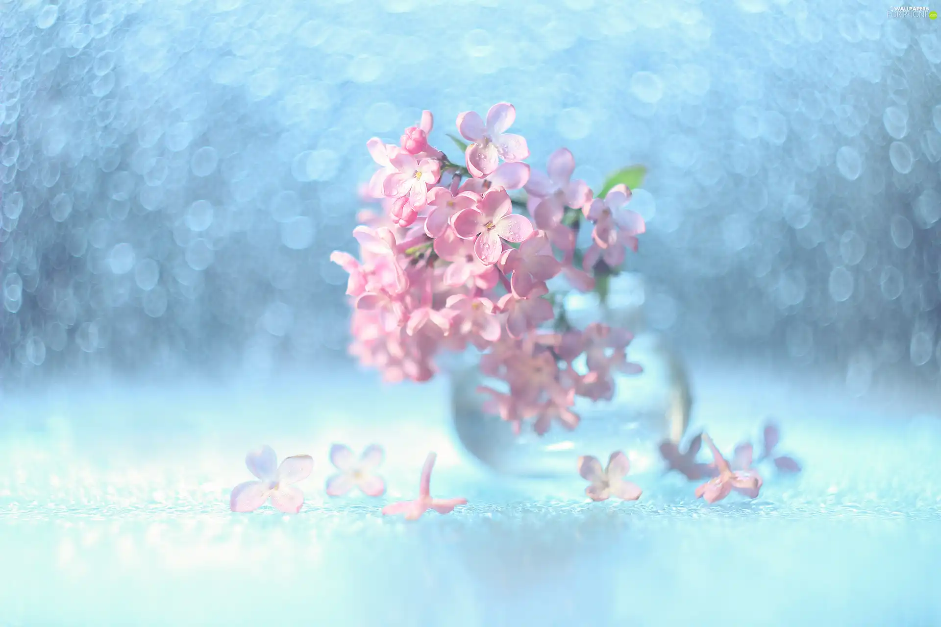 decoration, without, Bokeh, Pink
