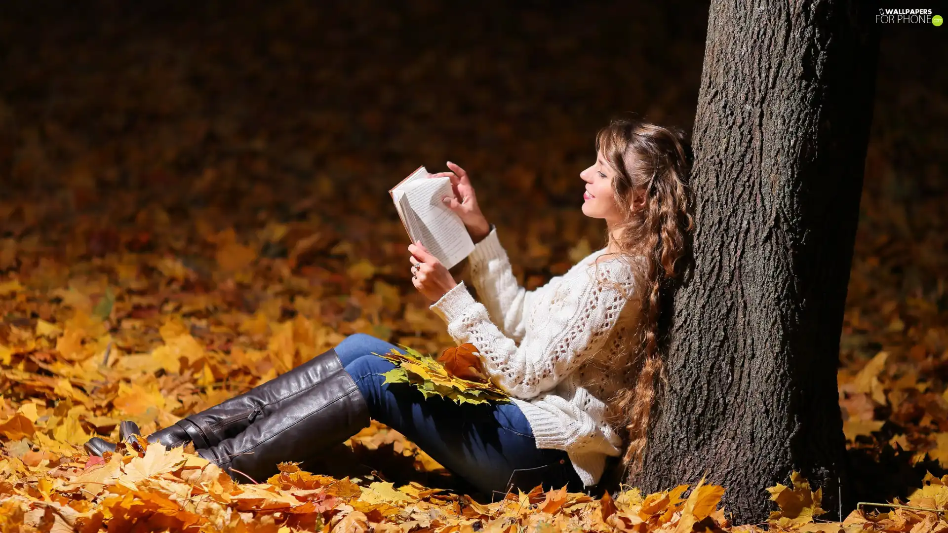 trees, Book, autumn, Leaf, Women