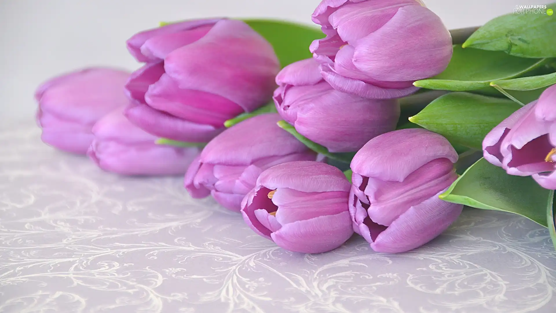 bouquet, purple, Tulips