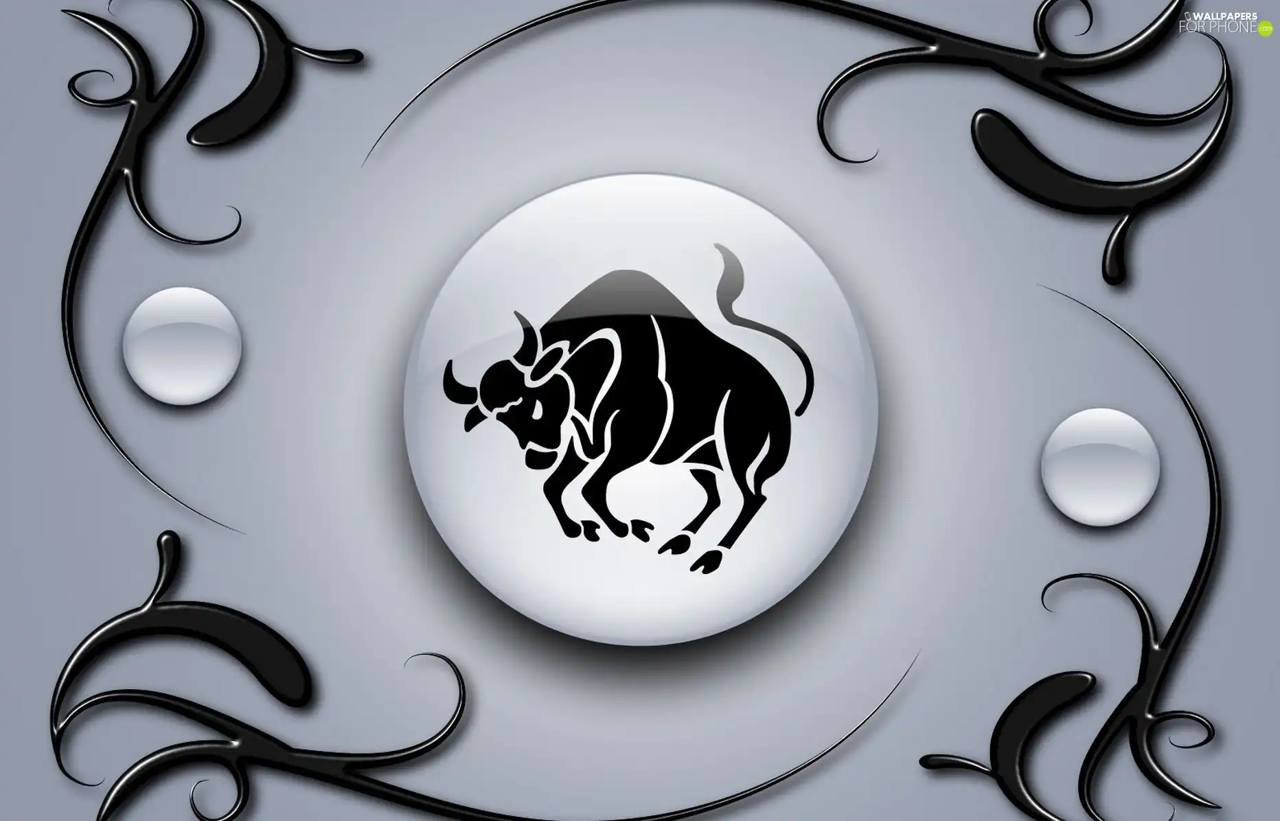 Bull, Sign, Zodiac