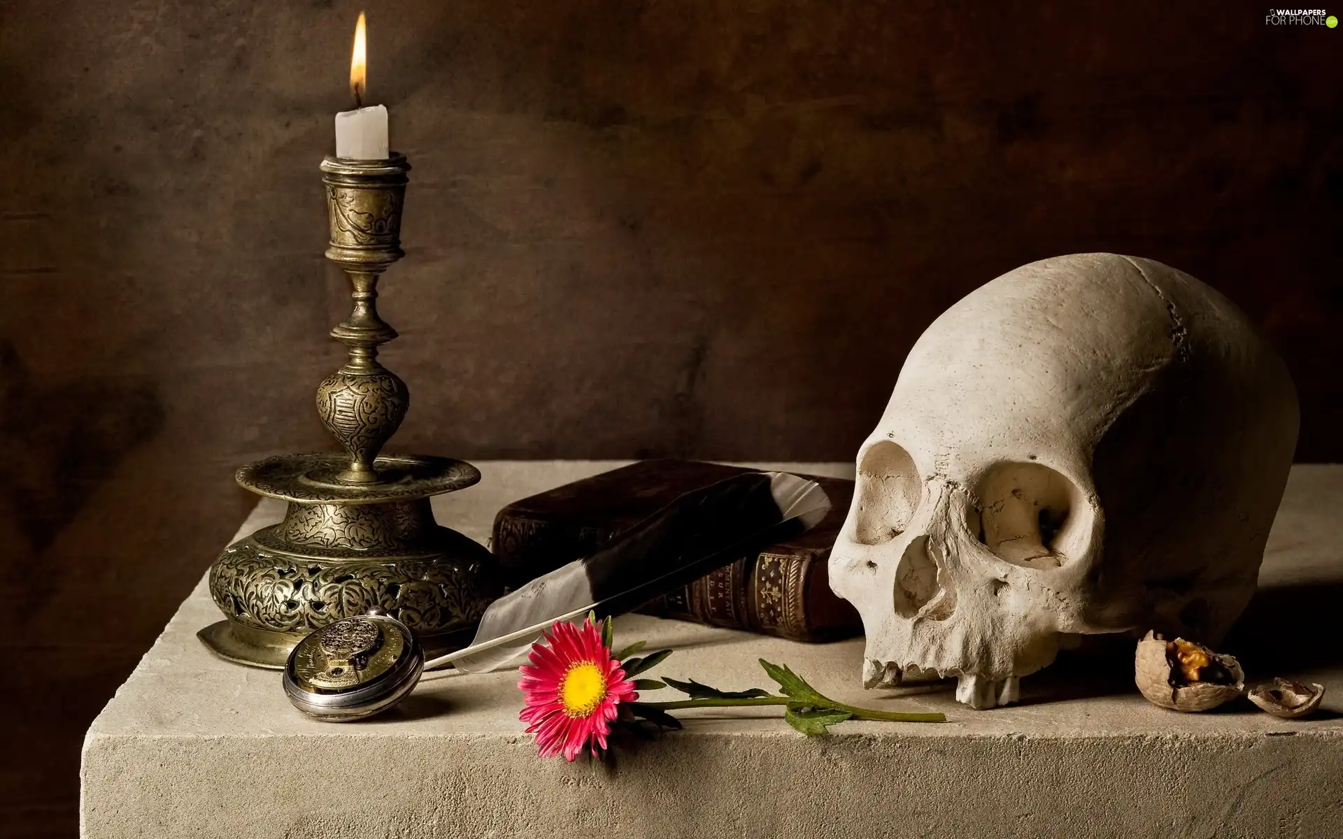 candle, skull, Gerbera