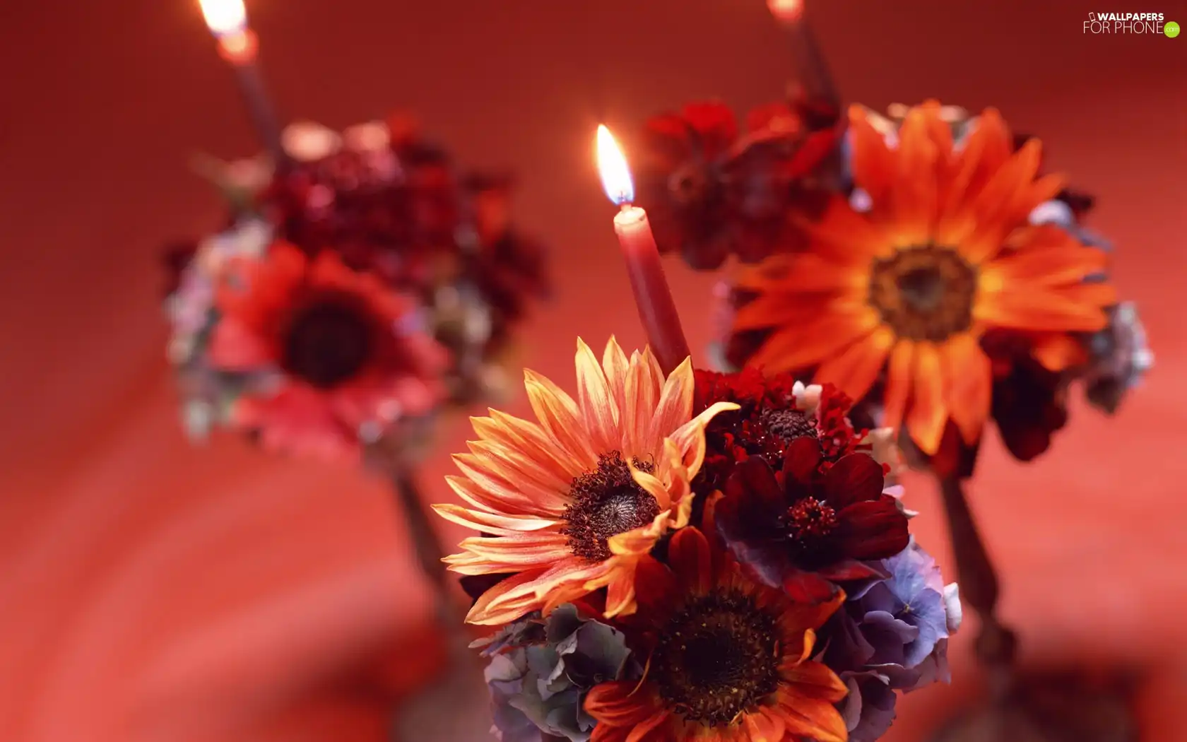 candles, bouquet, flowers