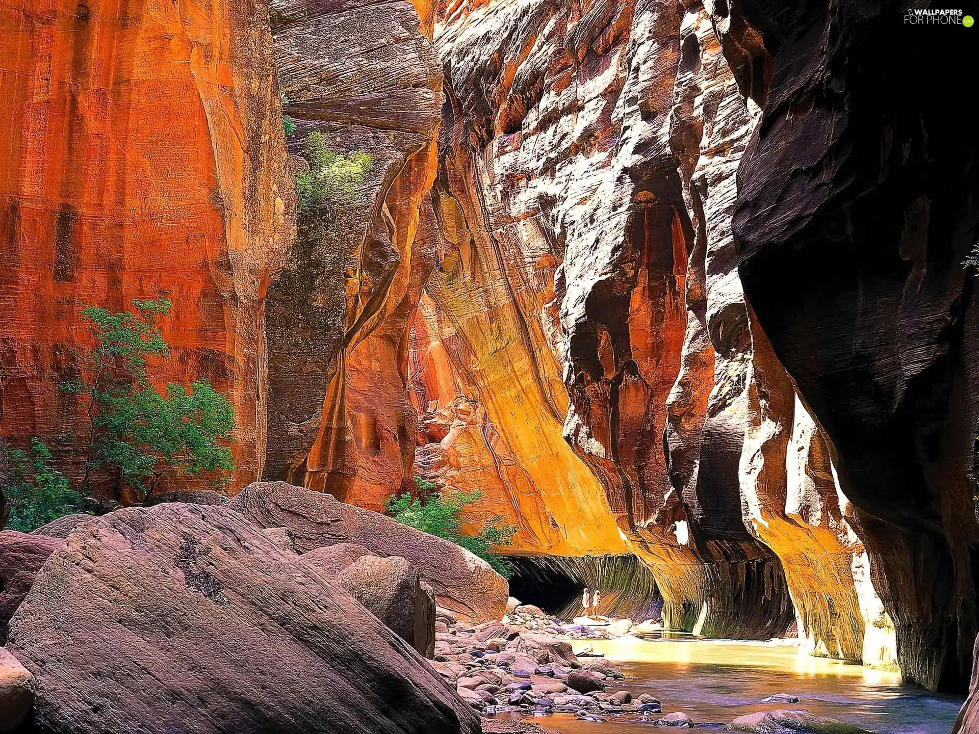 large, canyon