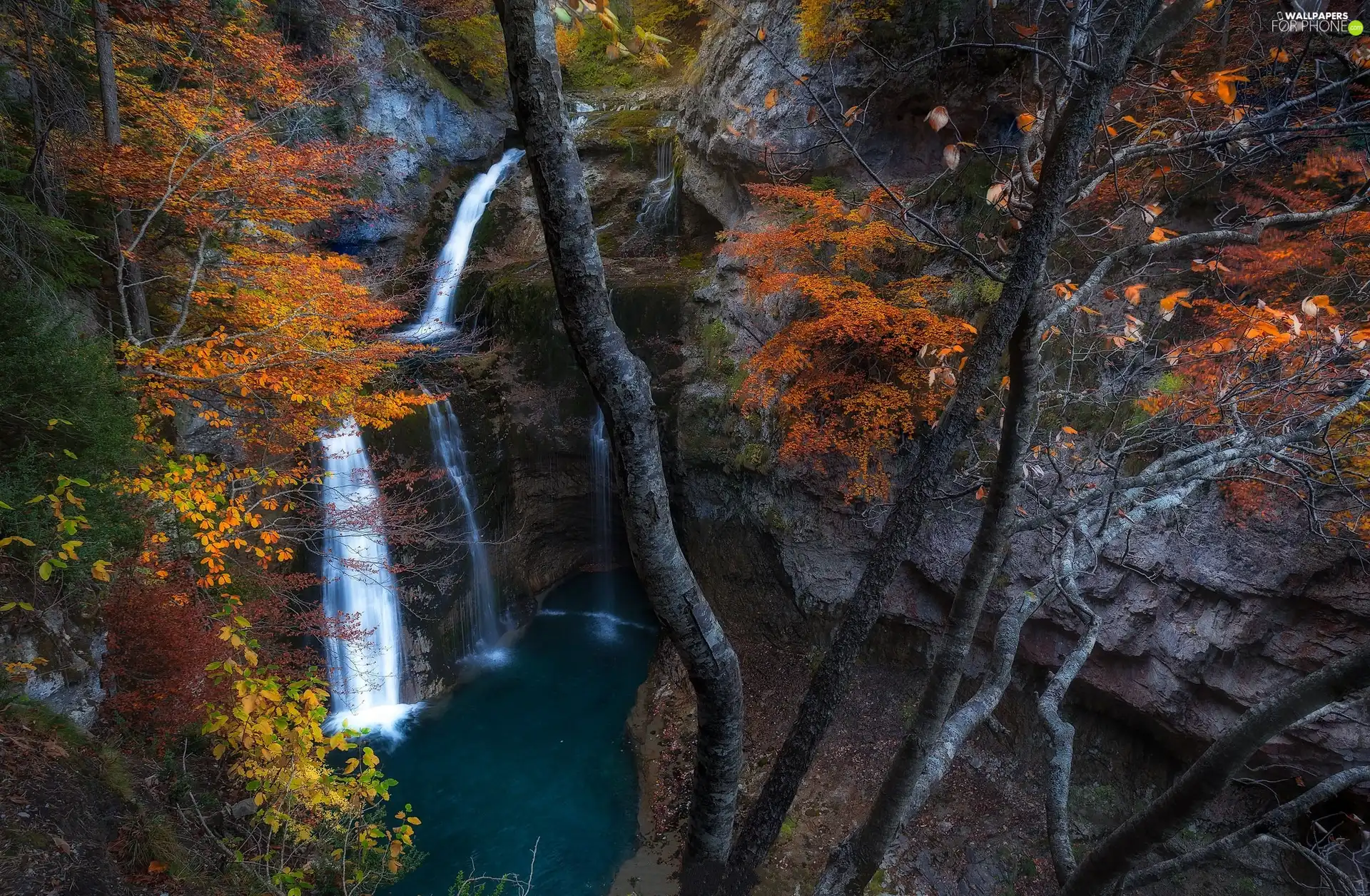 waterfall, rocks, trees, canyon, autumn, River, viewes