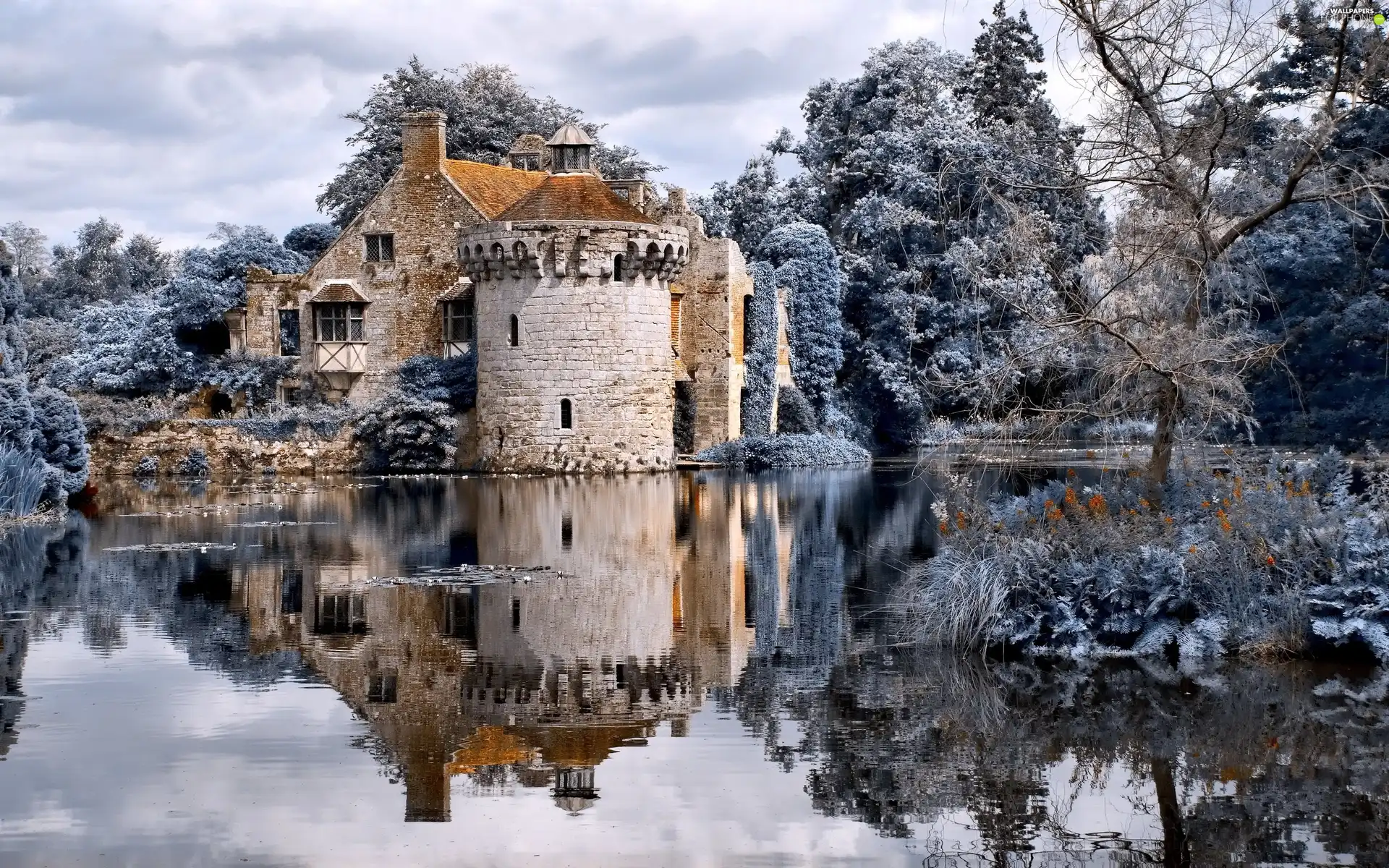 England, Scotney Castle, winter, Kent County, Scotney Manor, Pond - car, White frost