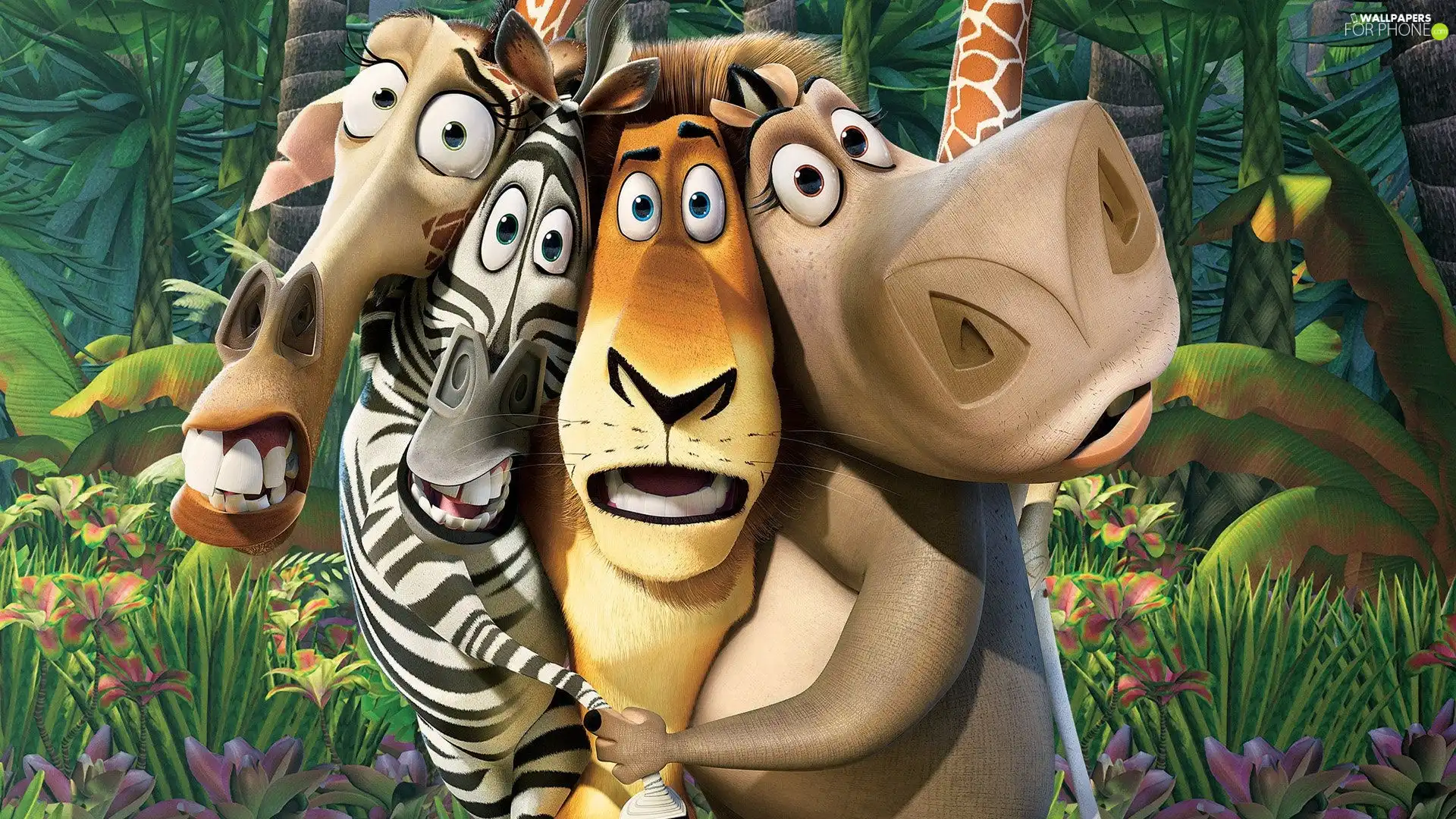 movie, Madagaskar, Characters, Animated