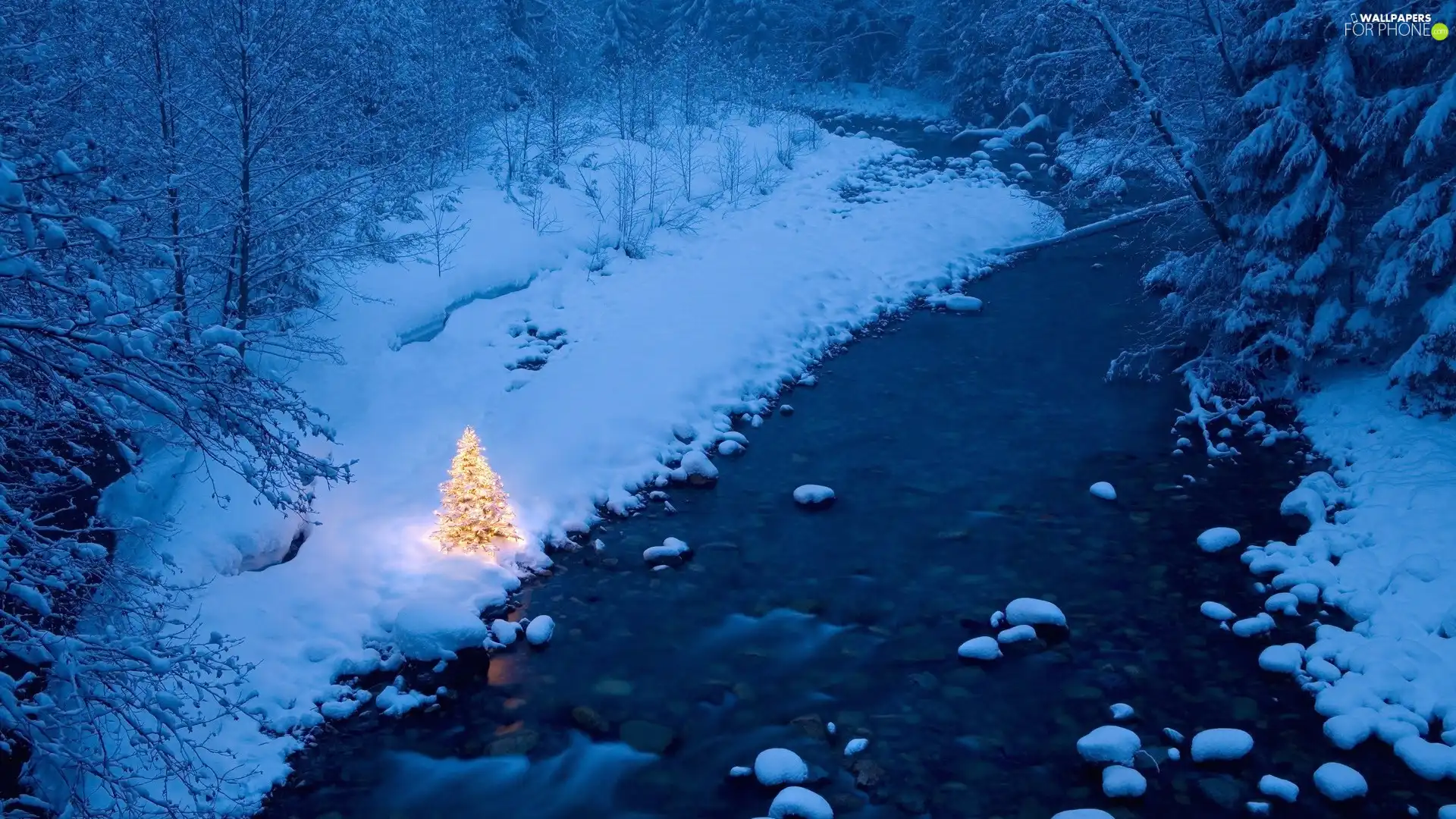 christmas tree, Christmas, River, forest, winter