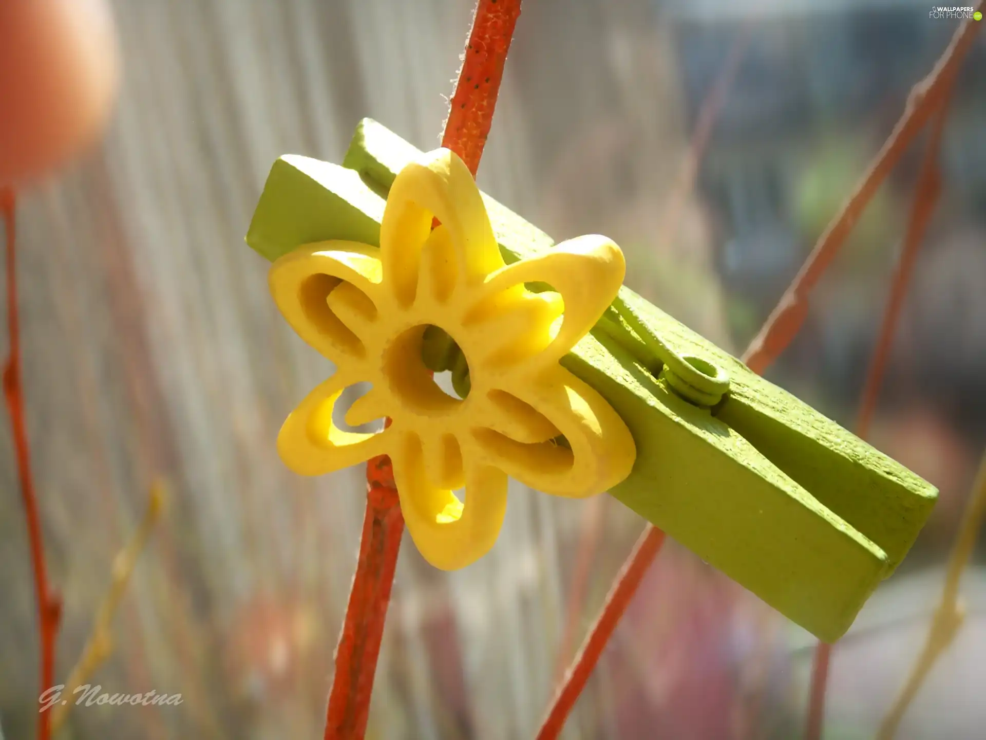 Easter, Flower, clip, decoration