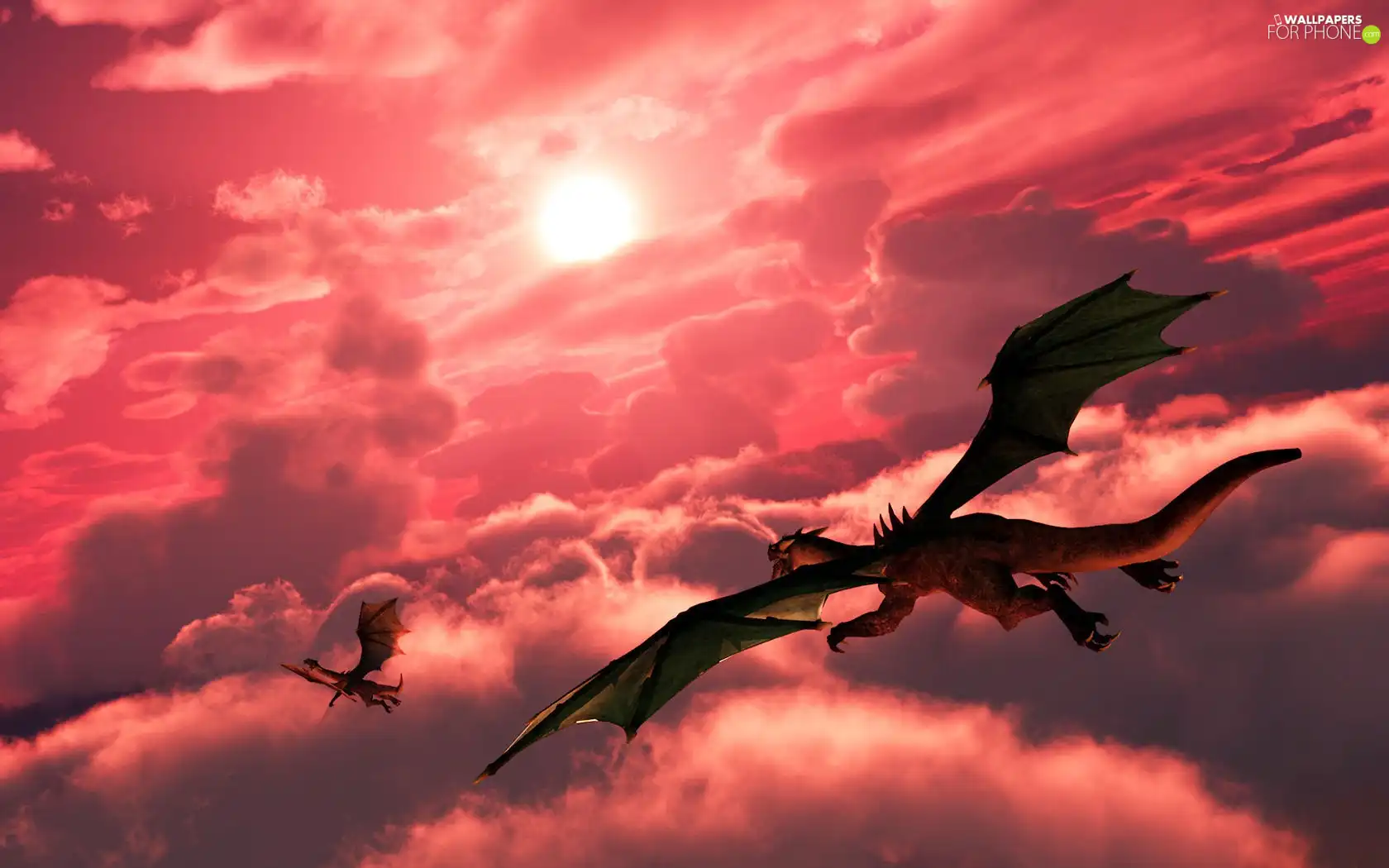 Dragons, clouds