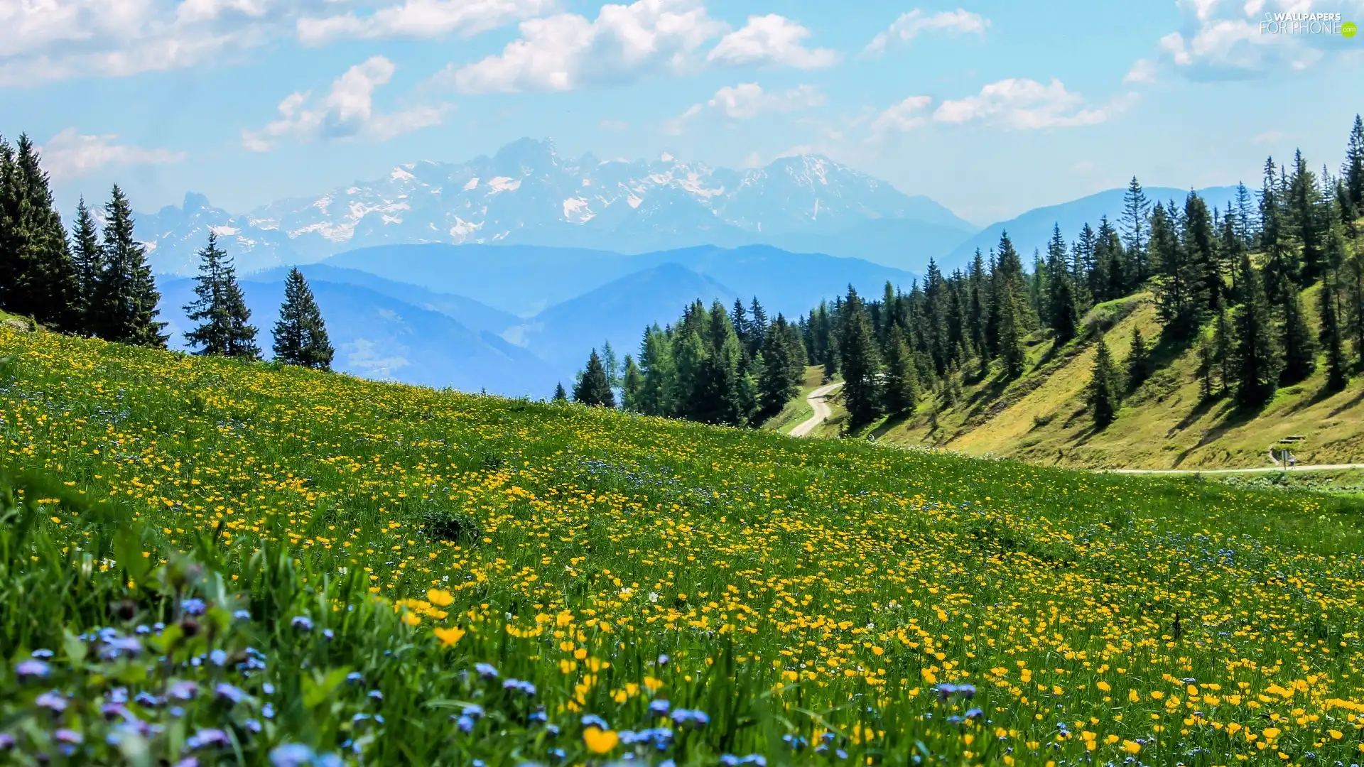 Mountains, Meadow, viewes, clouds, trees, Flowers