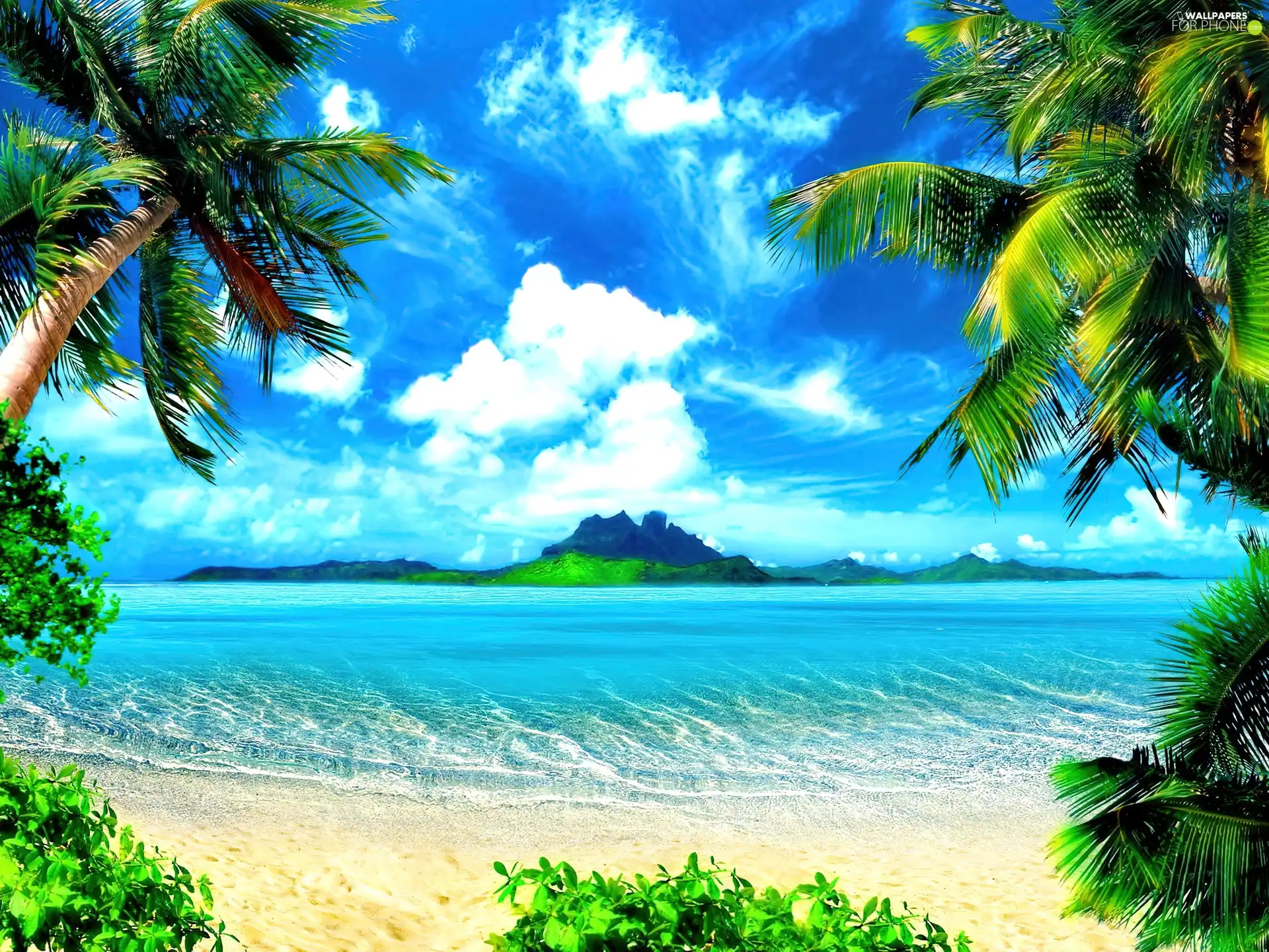 Palms, sea, clouds, Sand