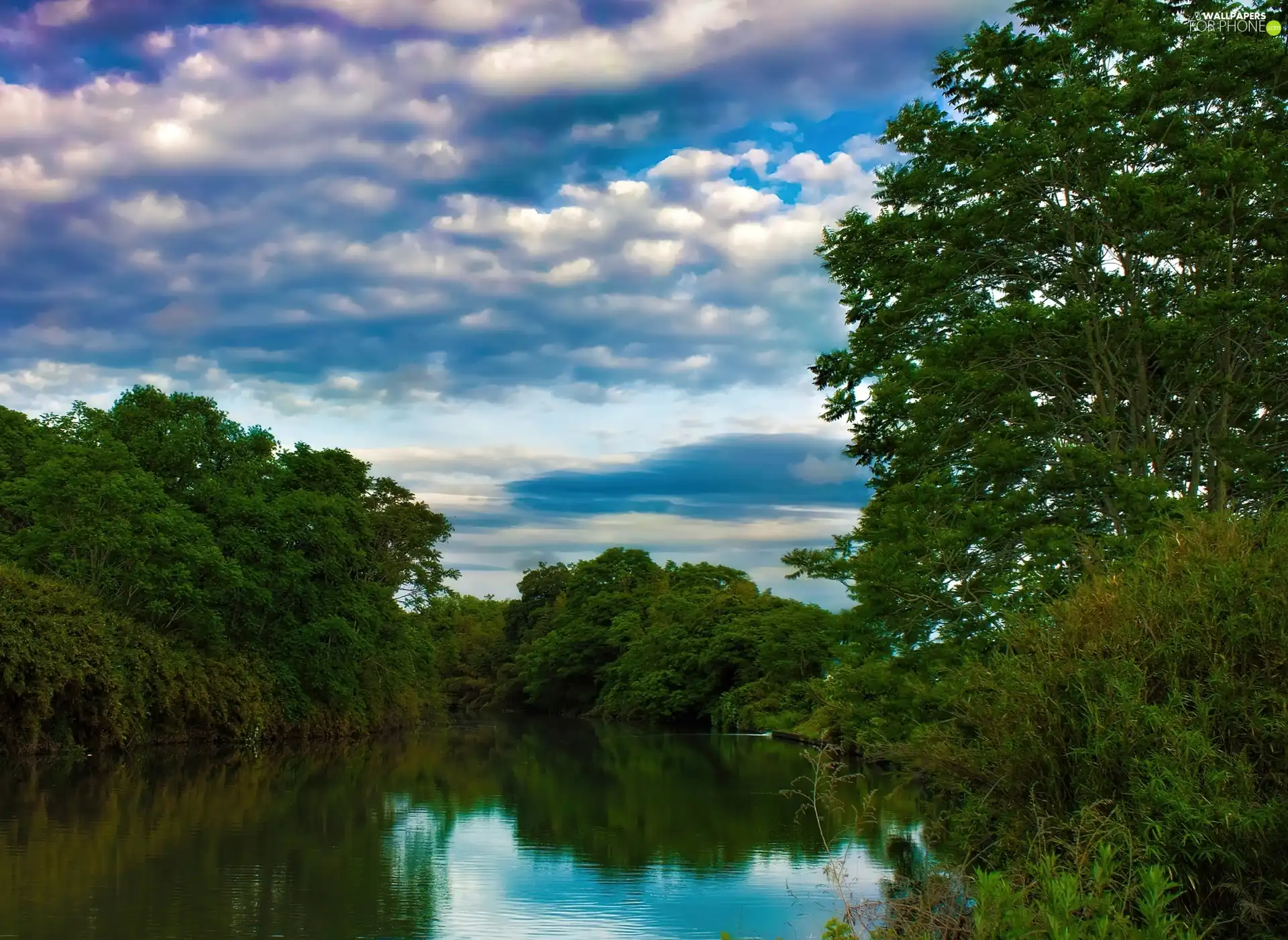 River, viewes, clouds, trees