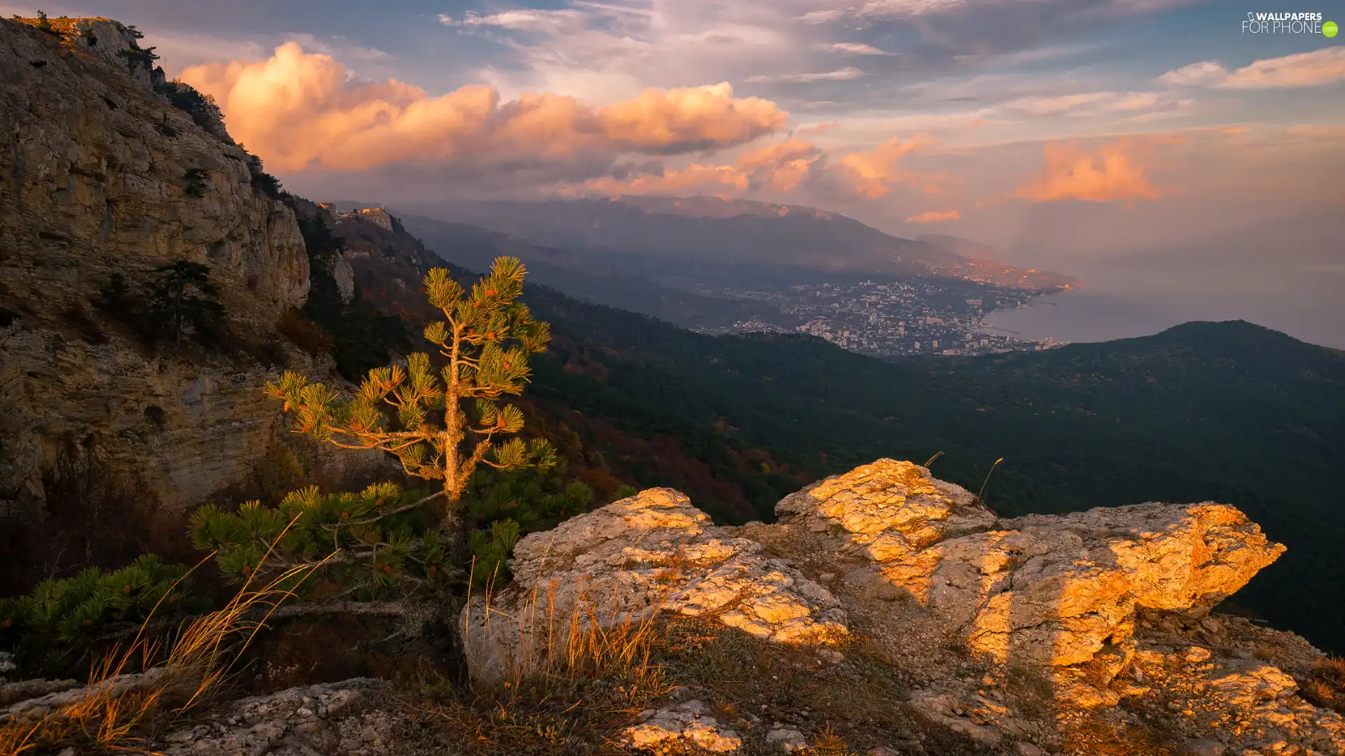 pine, Mountains, Town, clouds, Valley, rocks