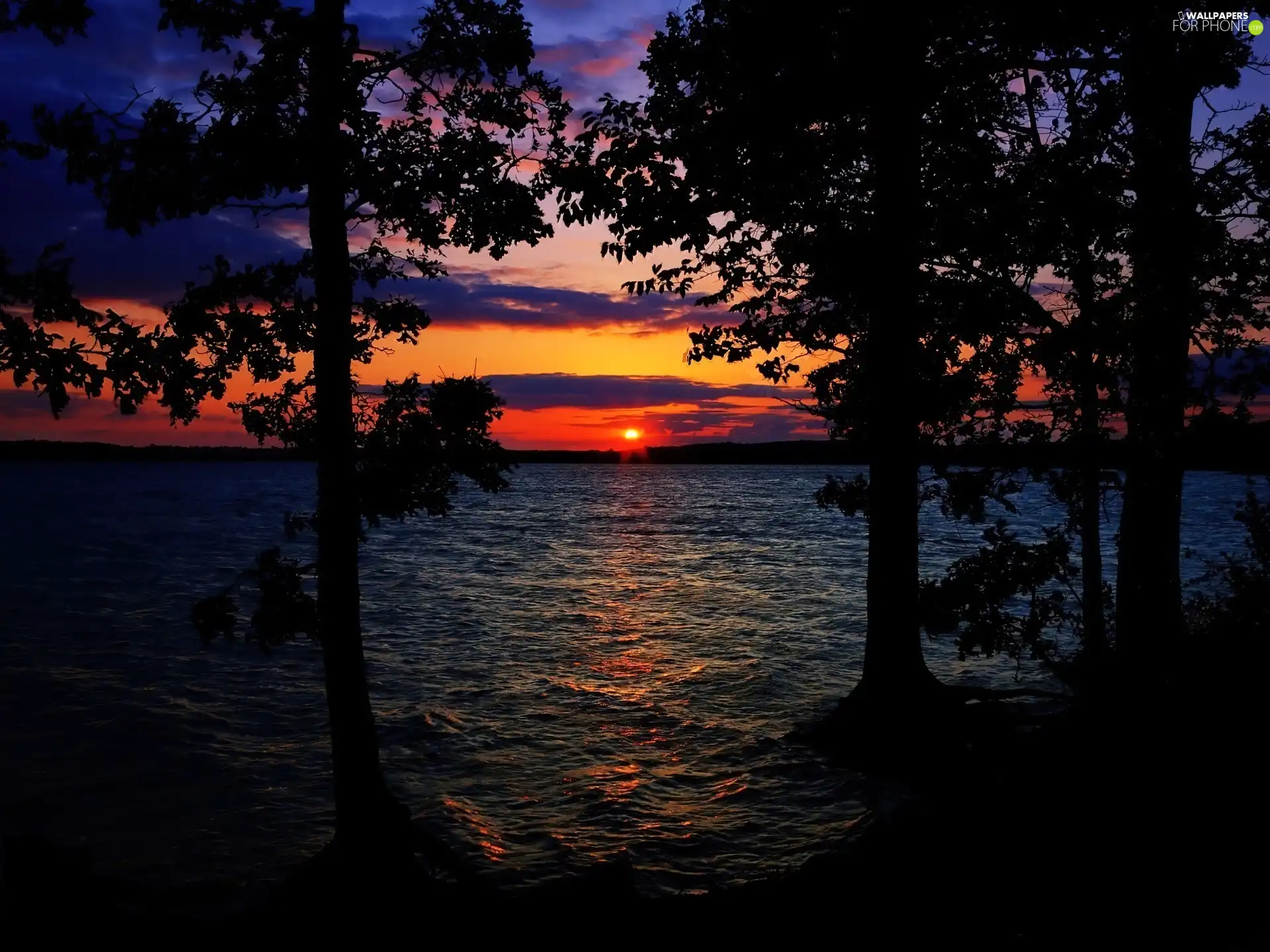 clouds, Great Sunsets, trees, viewes, lake