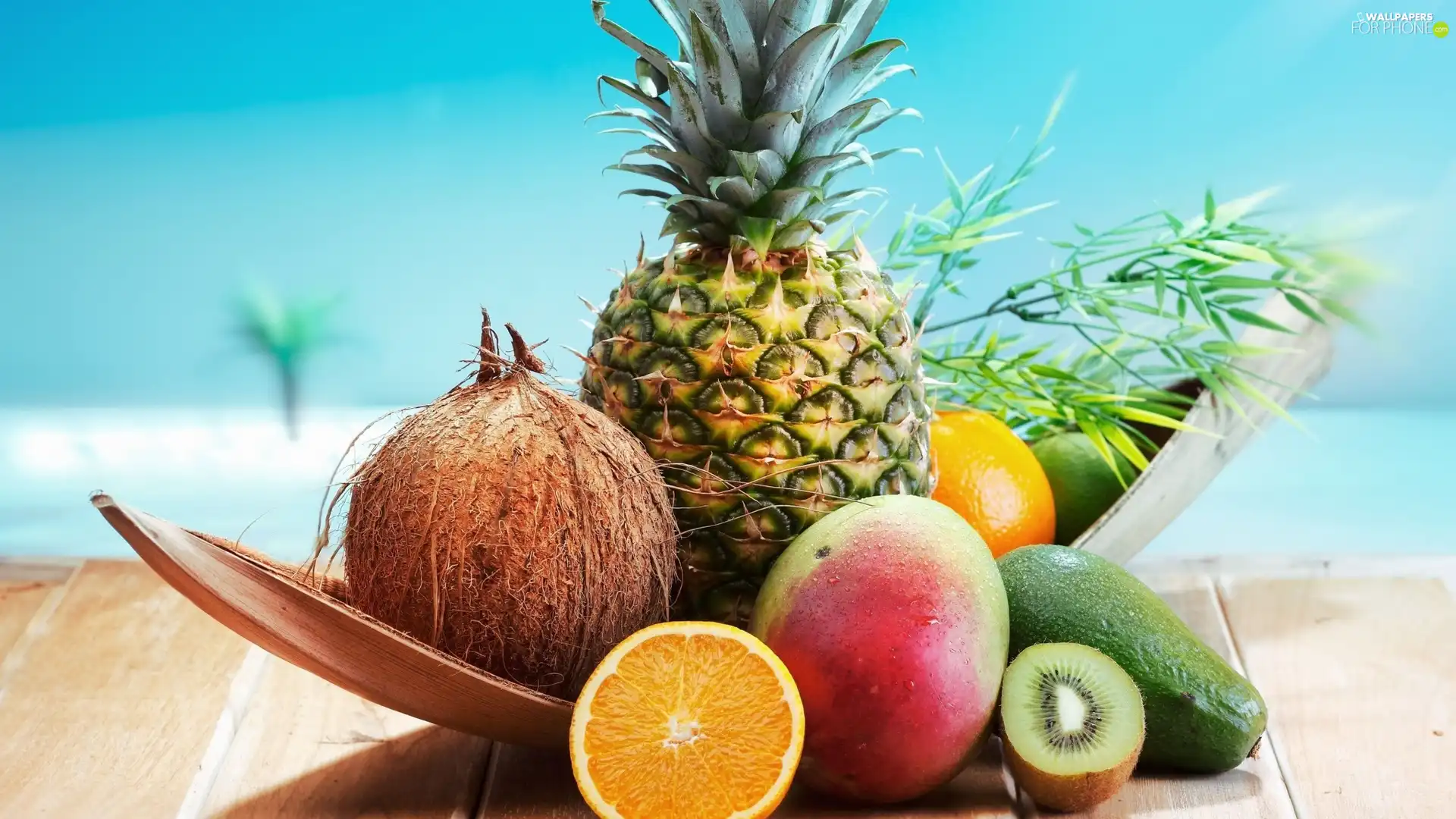 kiwi, avocado, Mango, ananas, Fruits, Coconut, orange