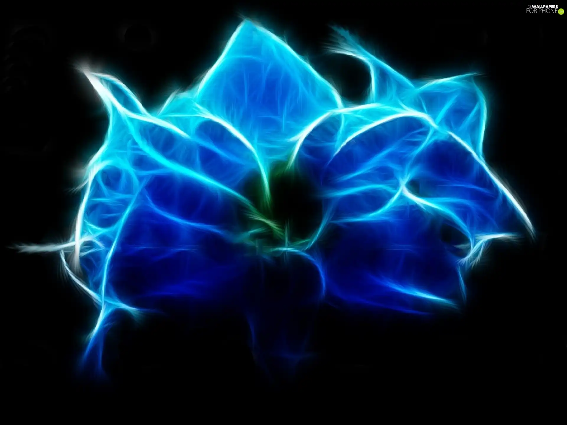 Fraktal, blue, Colourfull Flowers