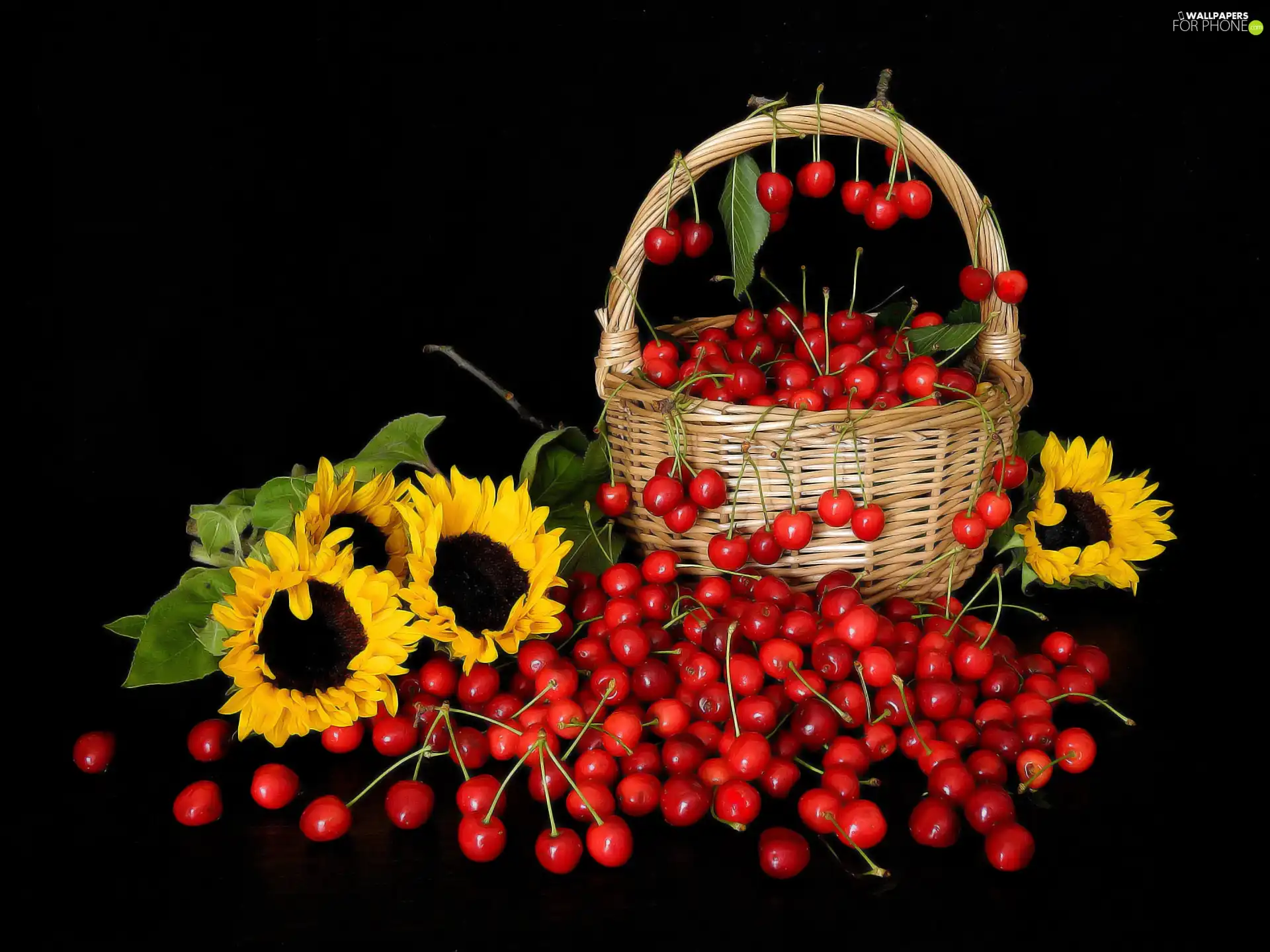 Nice sunflowers, basket, compositions, cherries