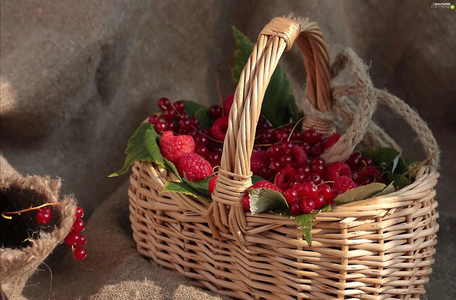 currants, basket, raspberries