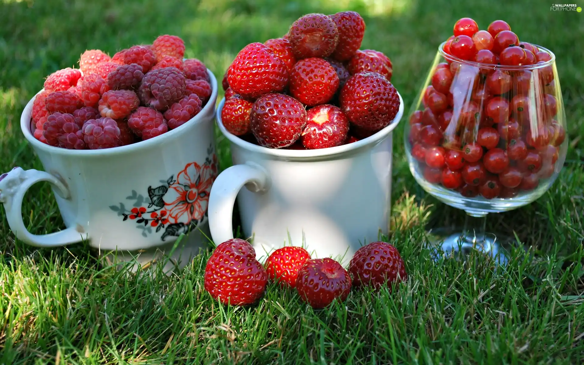 currants, raspberries, Strawberries