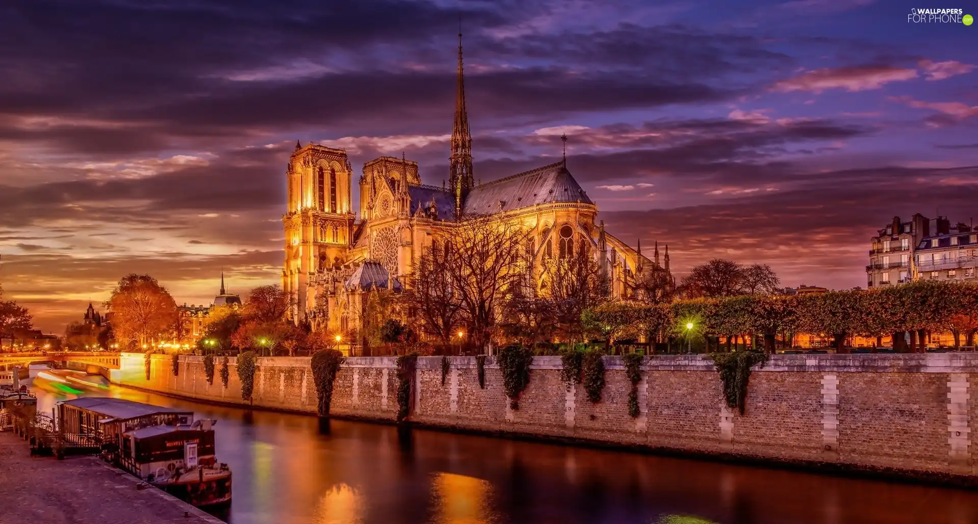 Paris, France, River Seine, Night, Cathedral Notre Dame