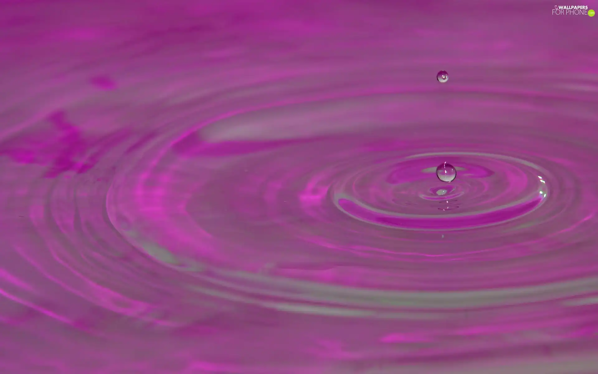 drops, Violet, water