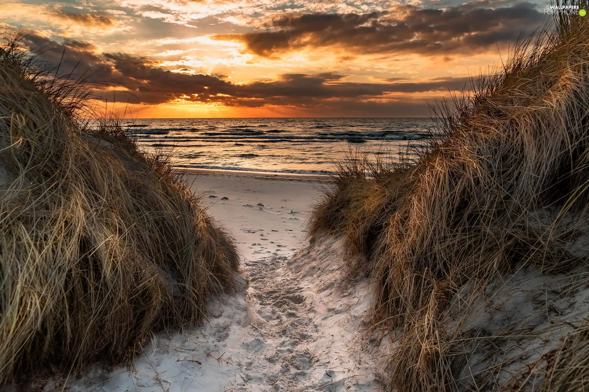 Beaches, Great Sunsets, Dunes, grass, Wooded, sea