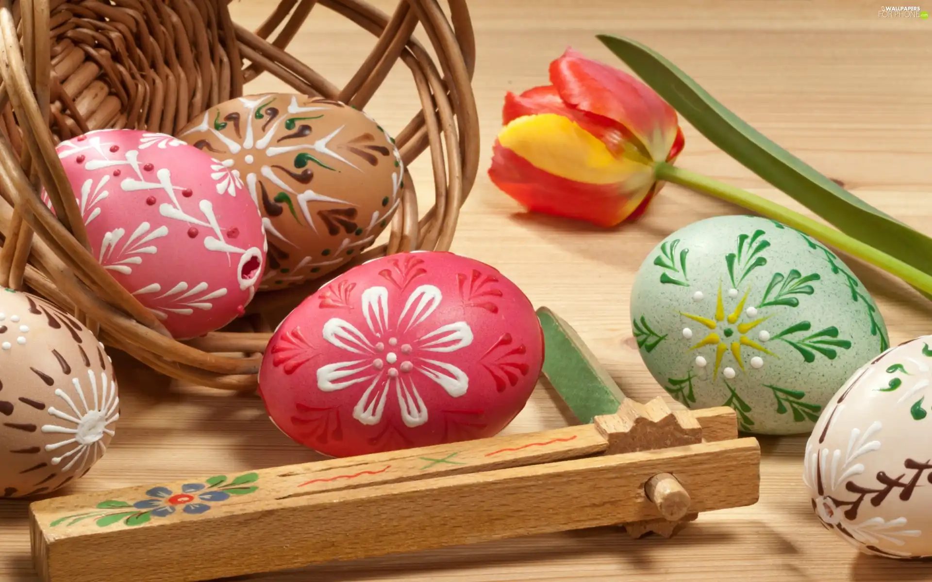 Easter, composition, eggs, tulip, basket