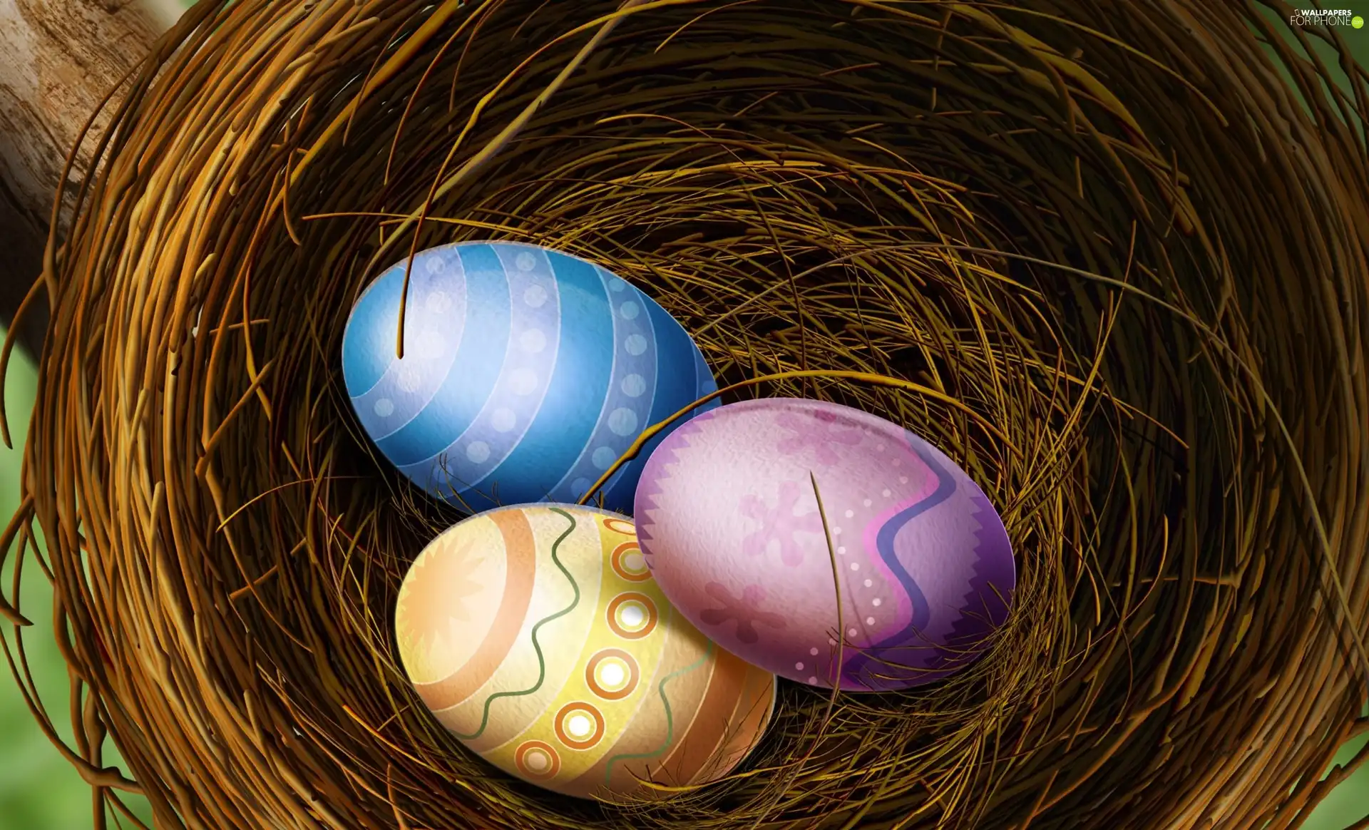 eggs, nest, color