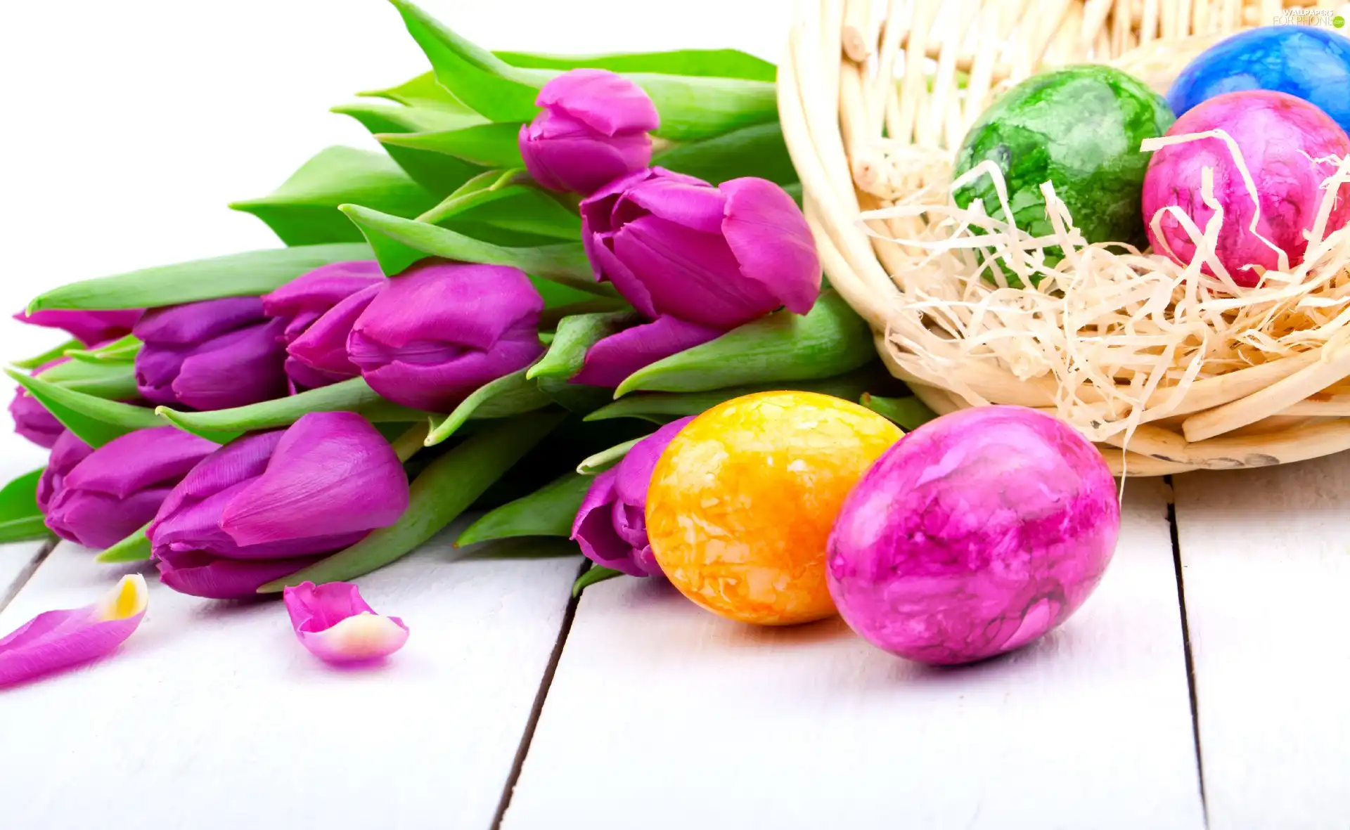 eggs, Easter, Tulips